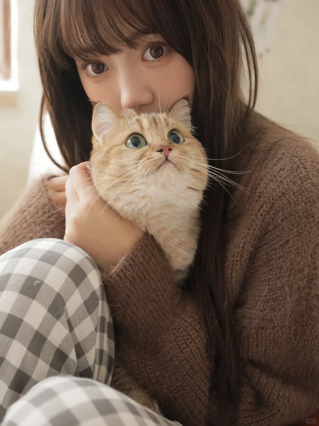 日系写真 ? 冬日的被窝里 有小猫和我