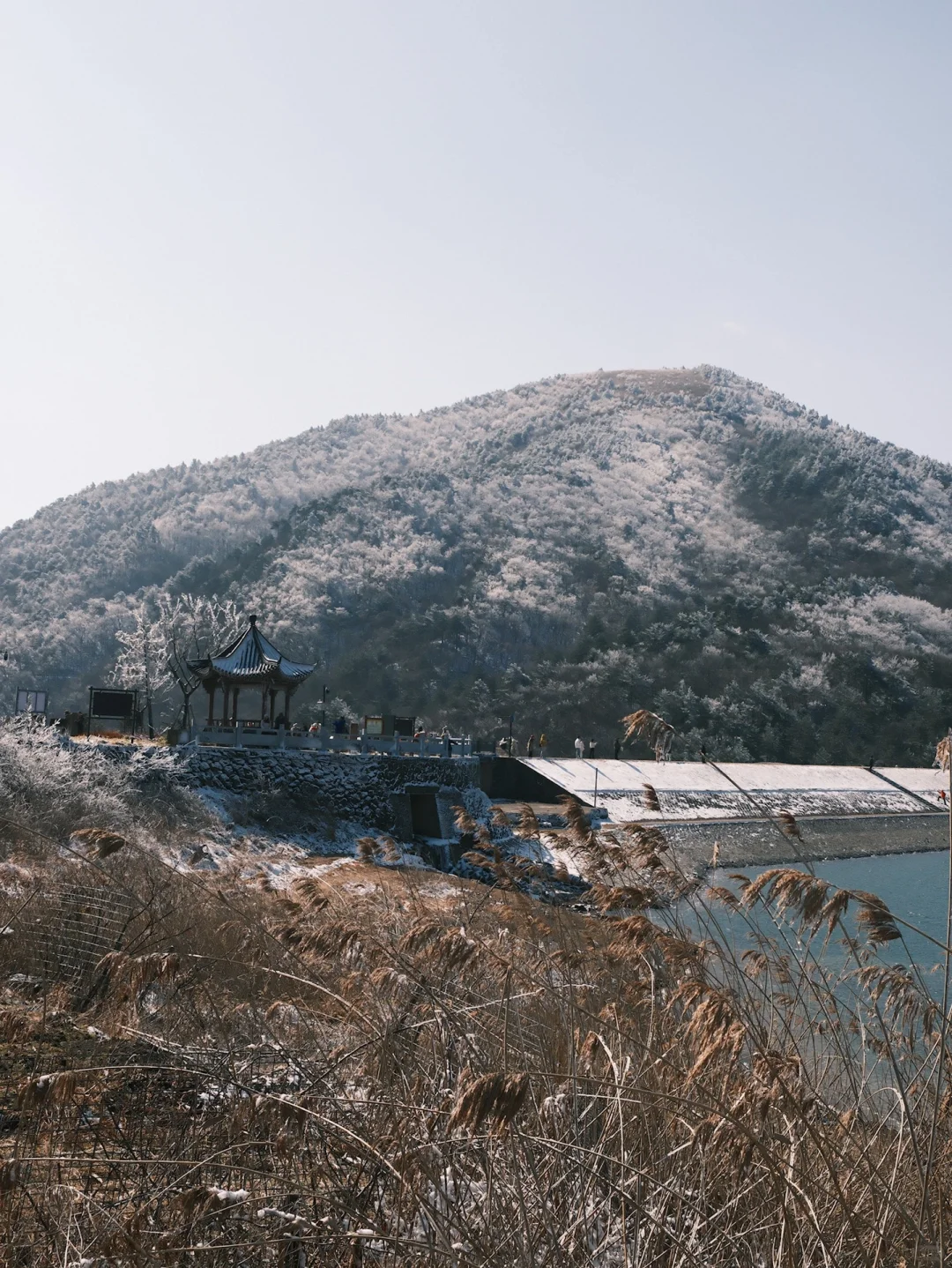 你一个女孩子 老去爬山⛰️像什么样子