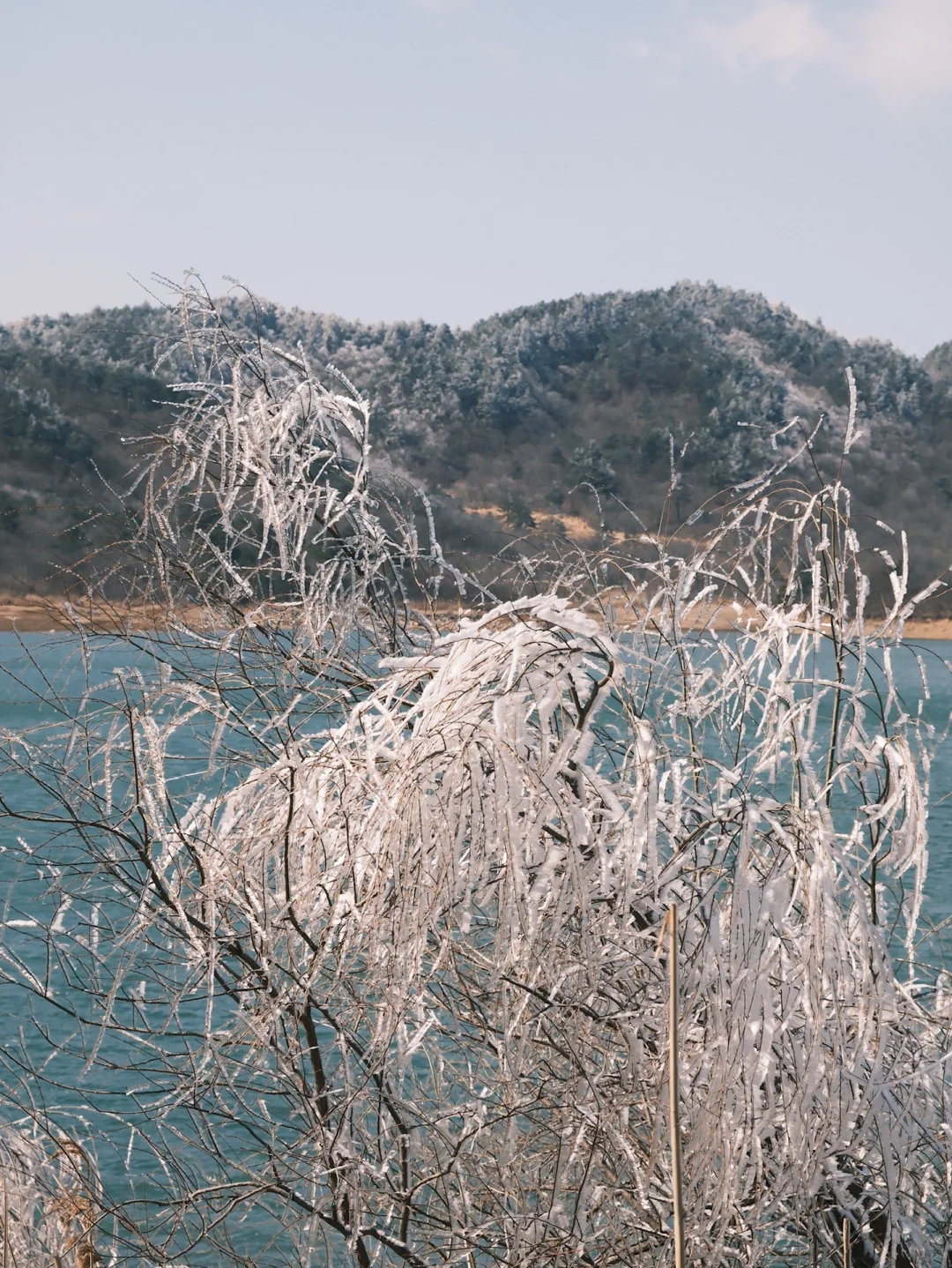 你一个女孩子 老去爬山⛰️像什么样子