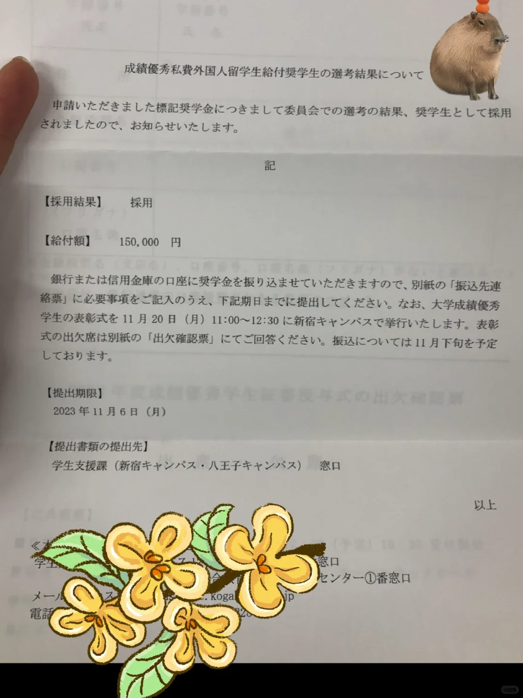 日本留学之财团老板是不是怕我饿死