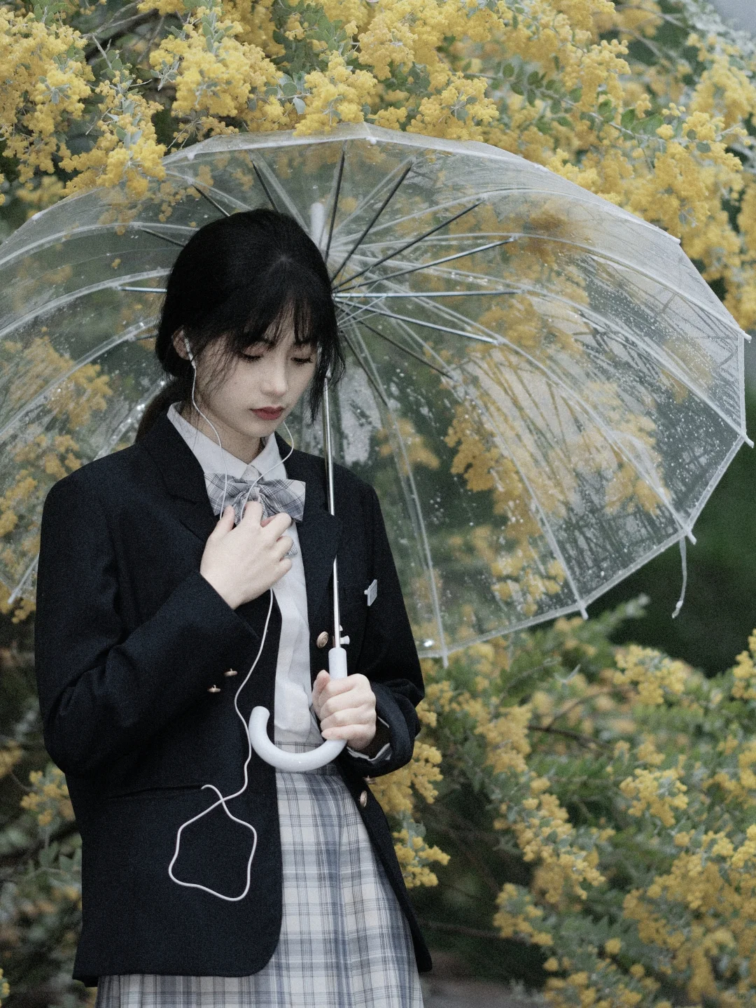 ? 《雨天×周杰伦！南宁同款小黄花写真》