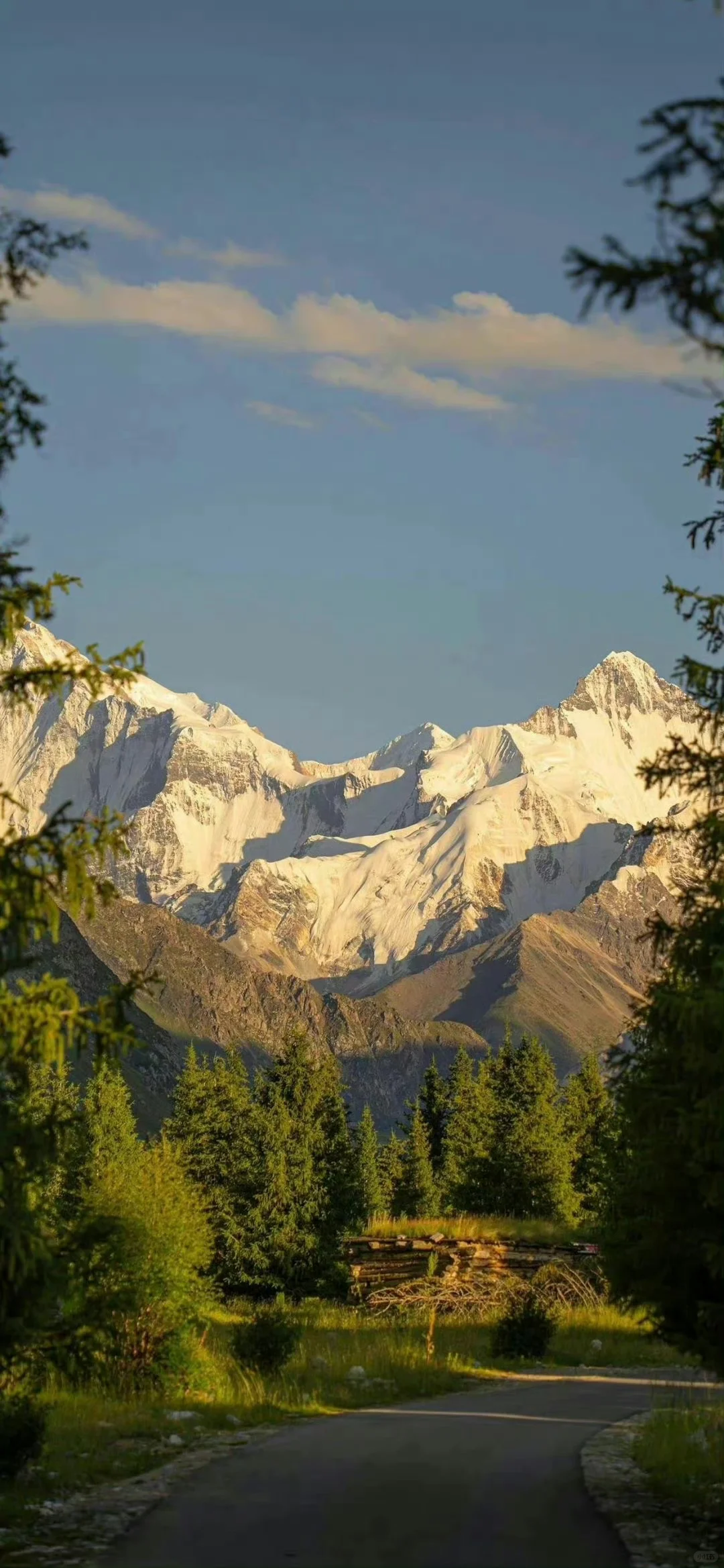 高清壁纸｜背景图 ⛰️