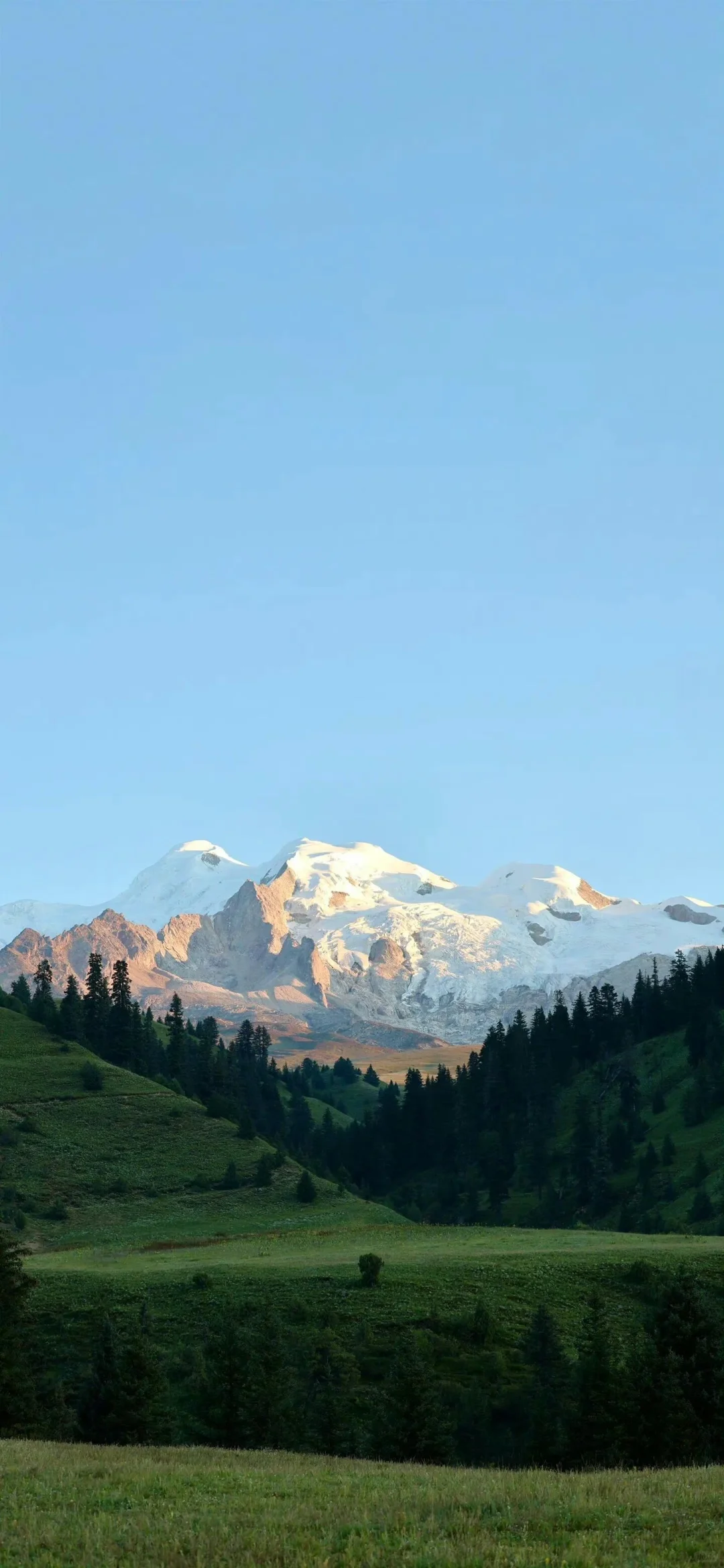 高清壁纸｜背景图 ⛰️