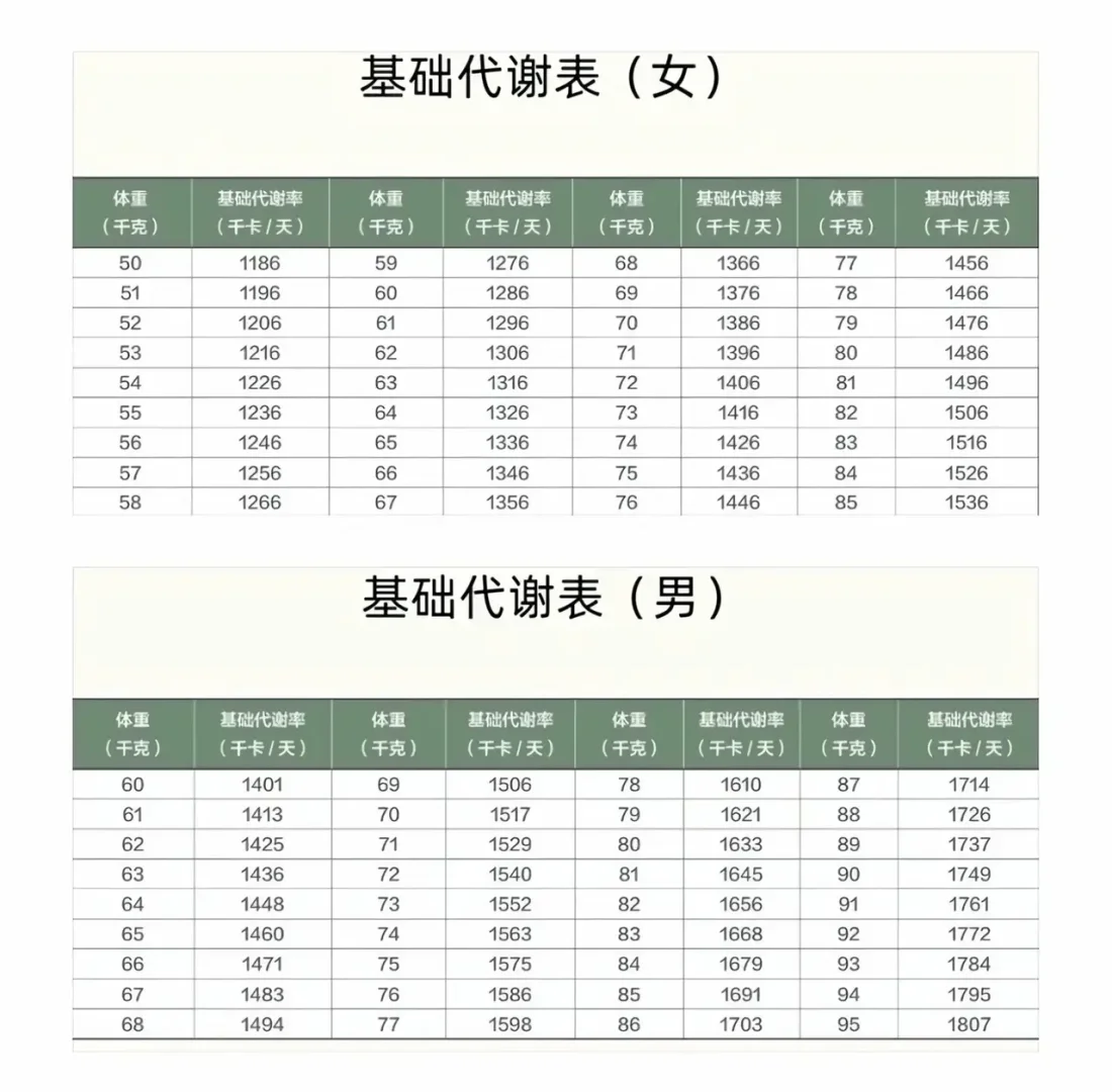 2024男女基础代谢标准