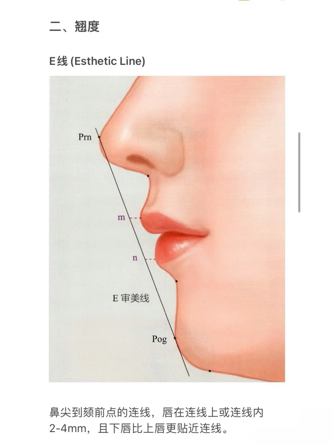 赵露思的下巴为什么没人说⁉️