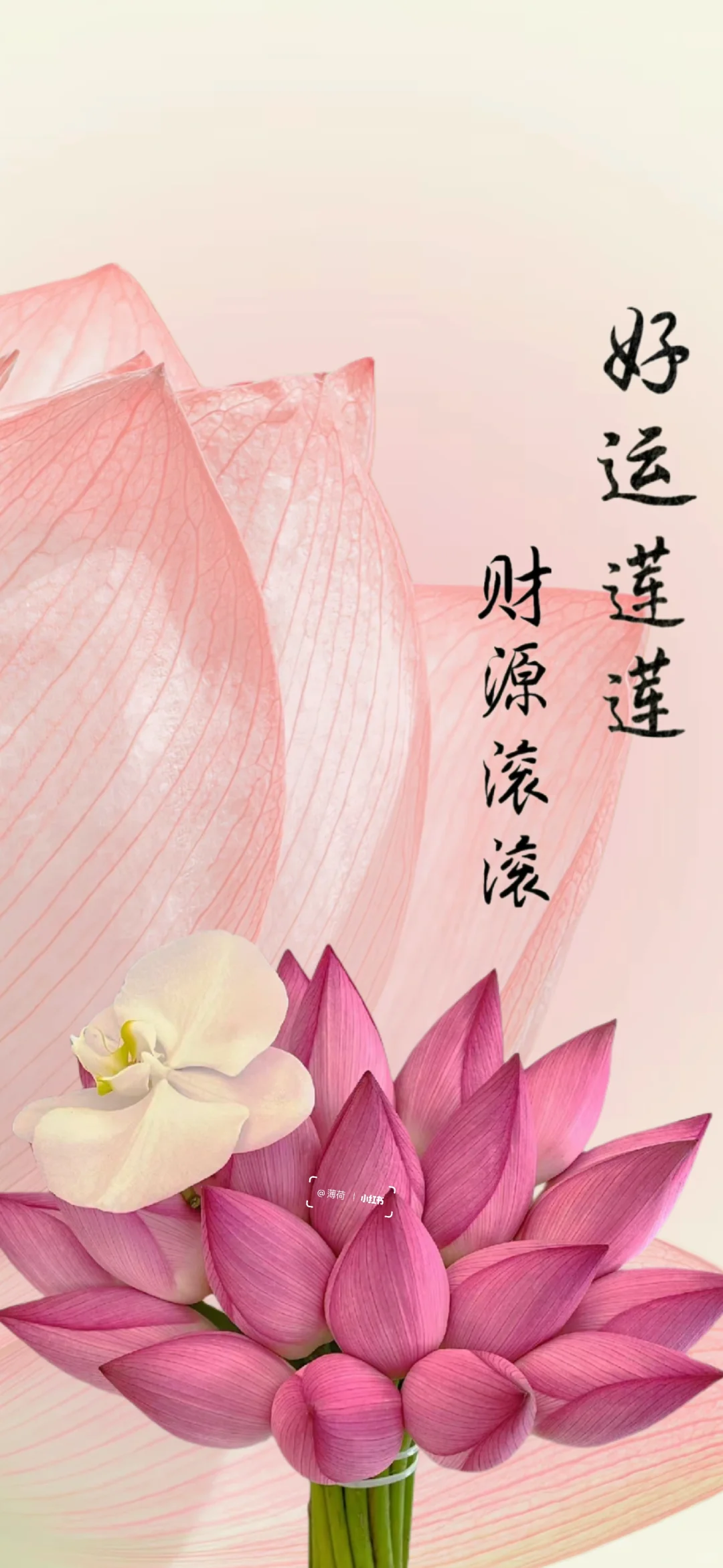 新年发财壁纸｜平安顺遂，万事如意