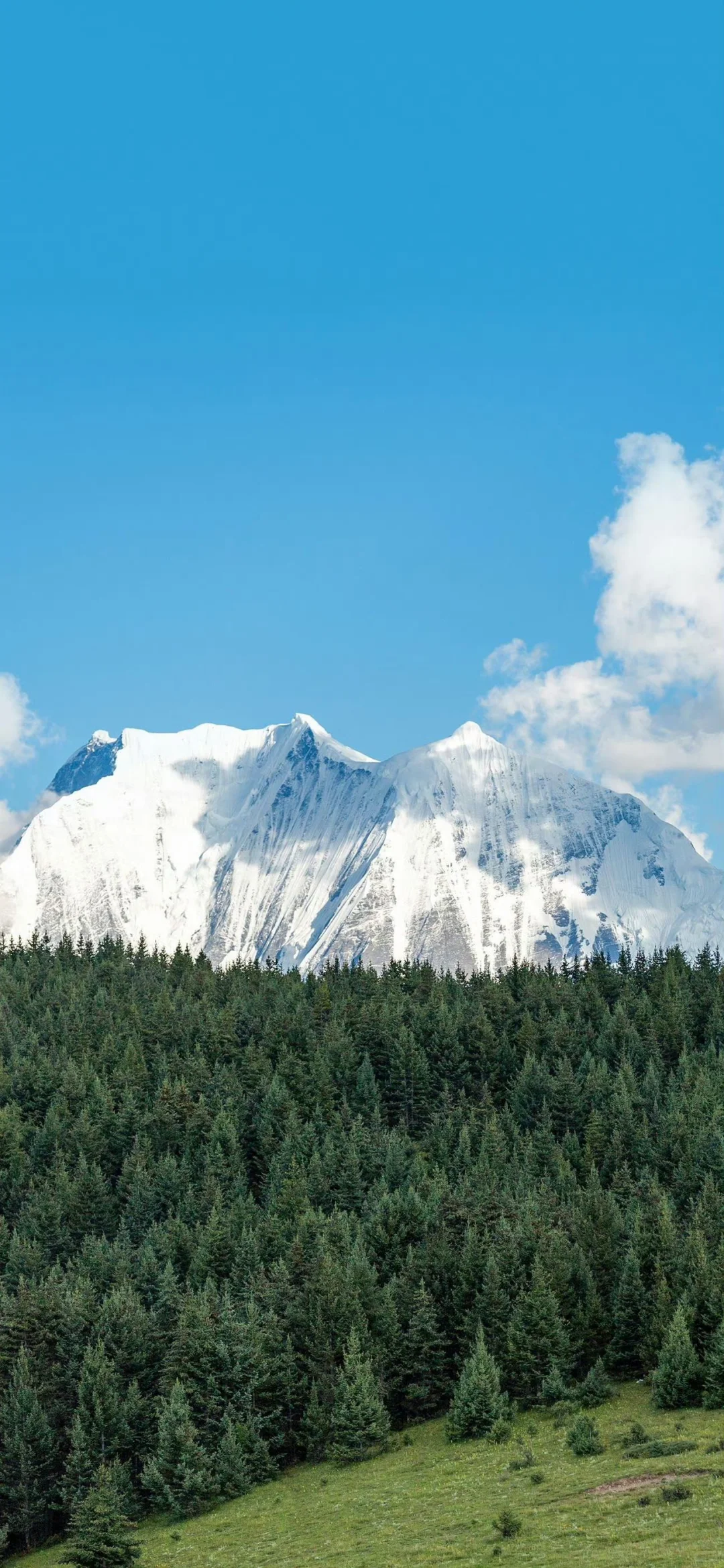 高清壁纸｜背景图 ⛰️