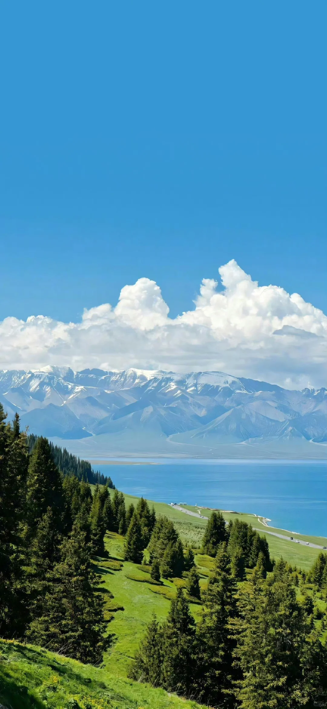 高清壁纸｜背景图 ⛰️