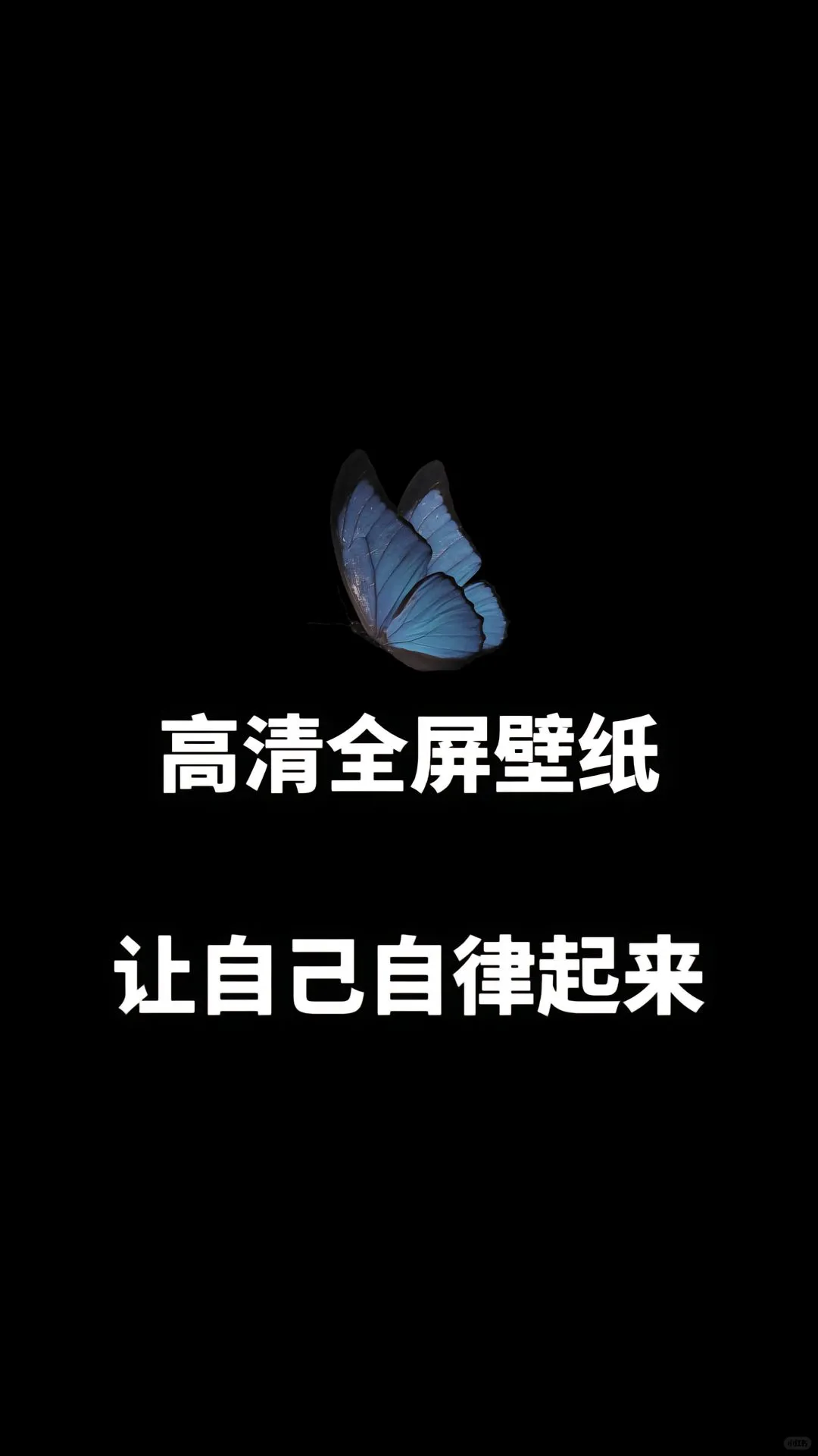 自律高清全屏壁纸