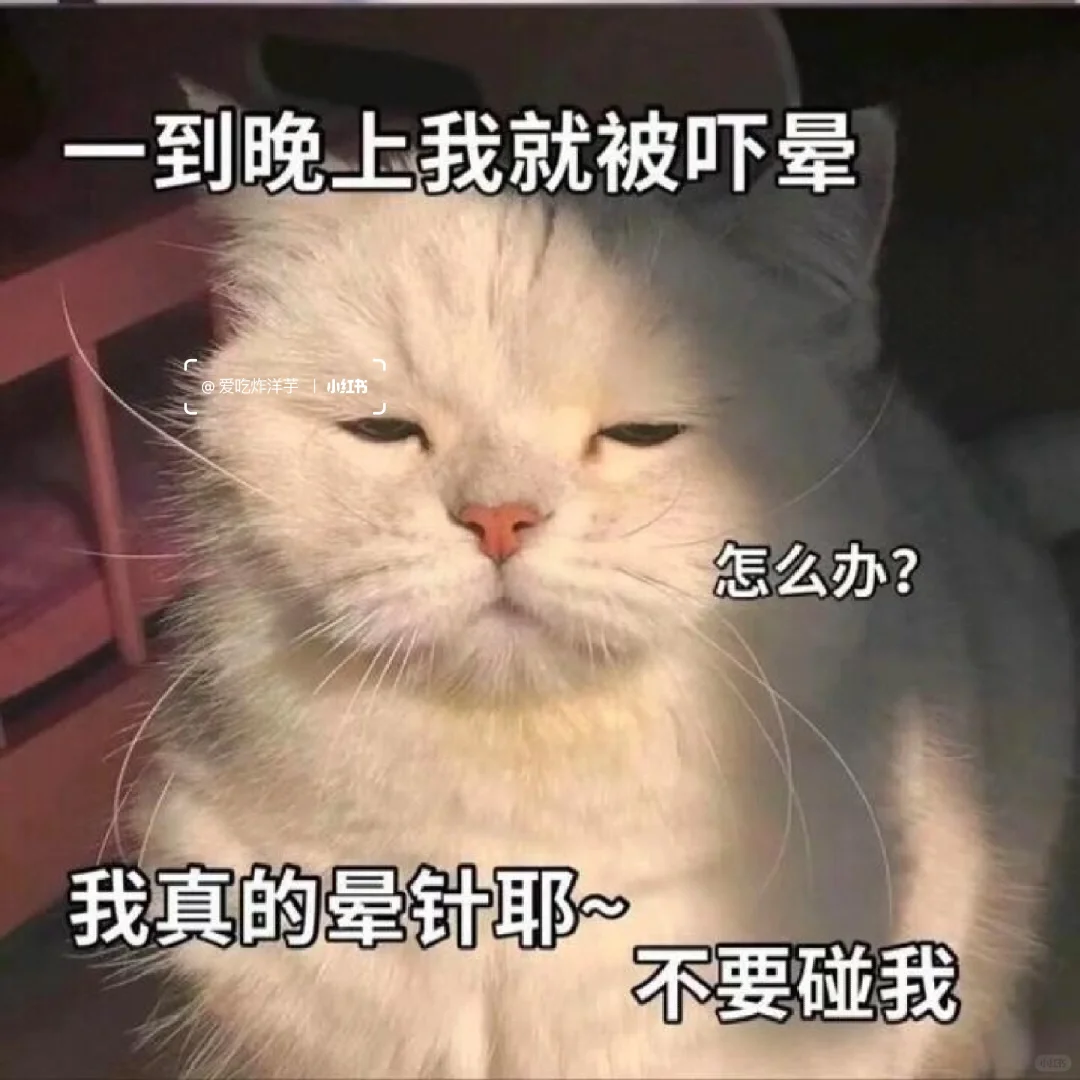 撩男朋友的猫咪表情包