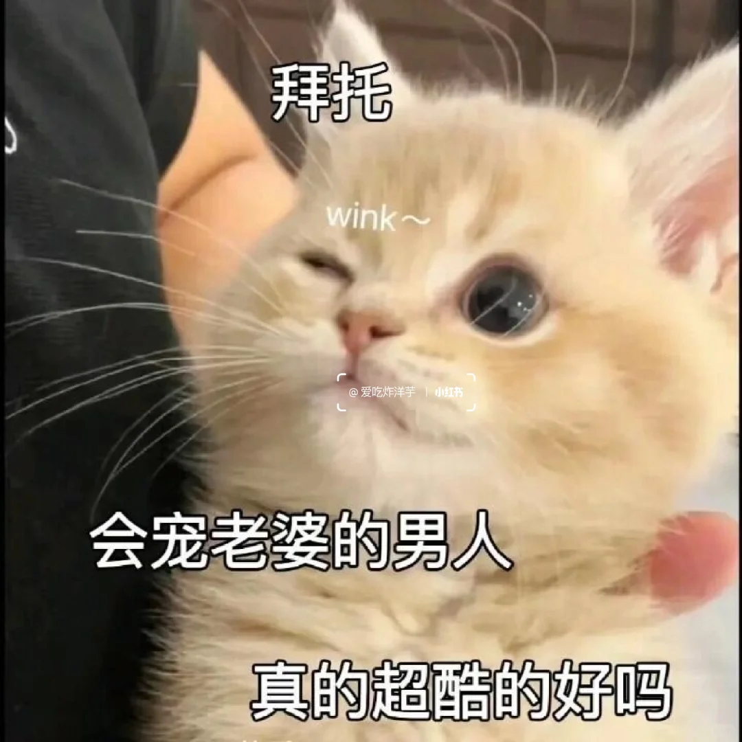 撩男朋友的猫咪表情包