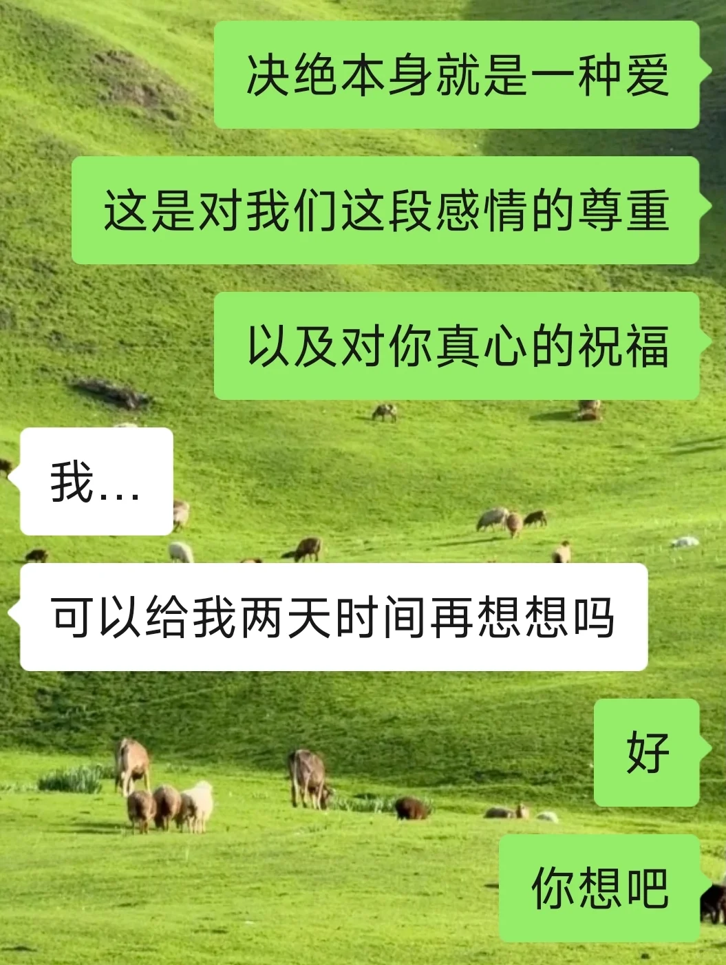 会说话的女生真的很加分❗❗