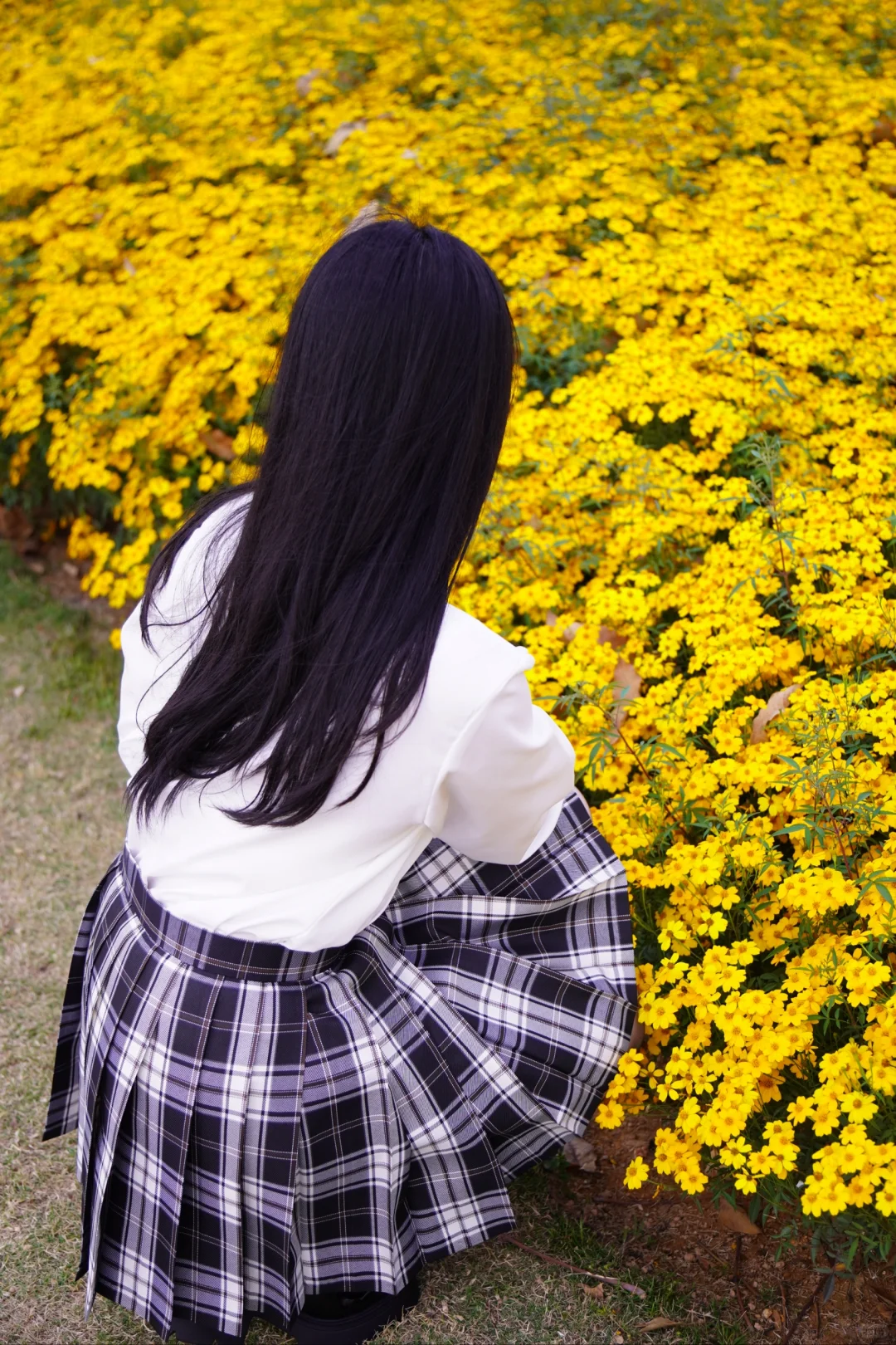 春天JK制服写真｜小黄花和少女心都开好了