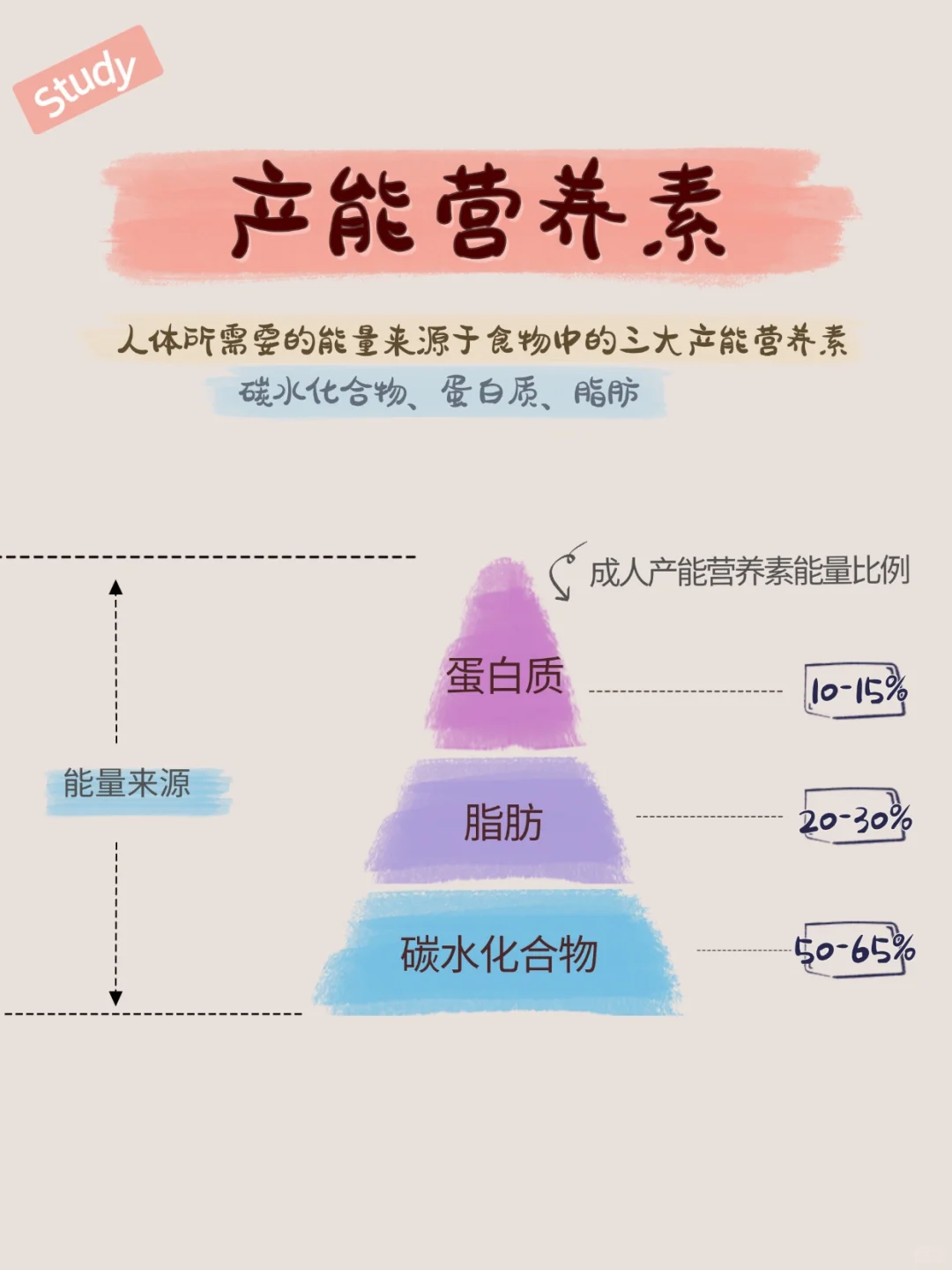 一次性讲清楚「卡路里」来源这件事！