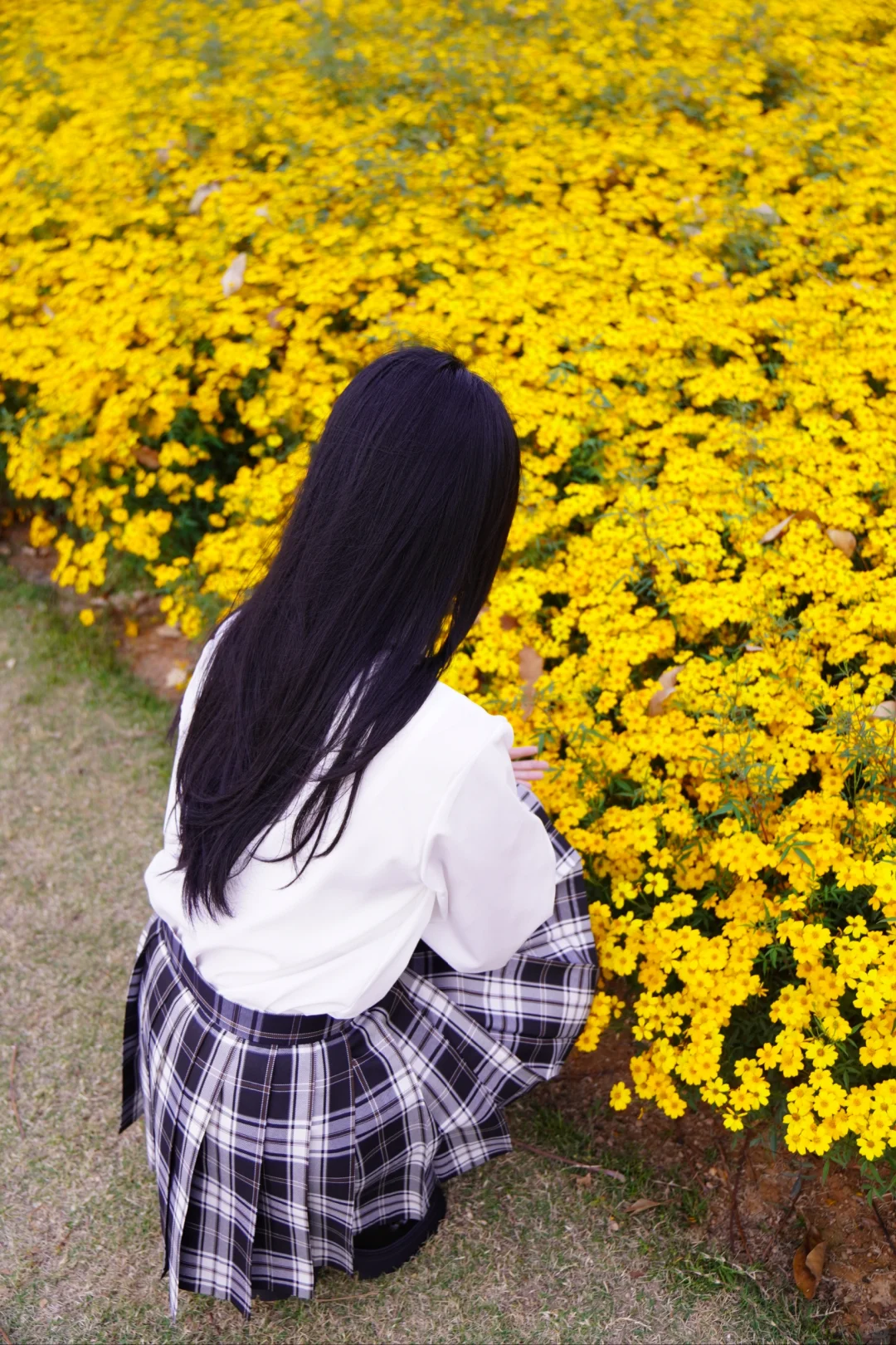 春天JK制服写真｜小黄花和少女心都开好了