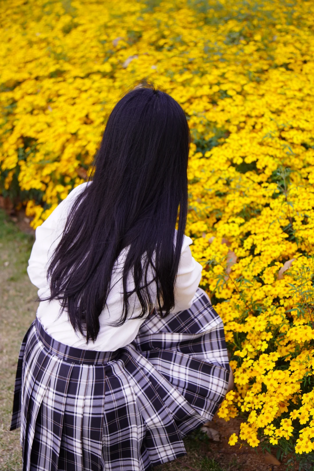 春天JK制服写真｜小黄花和少女心都开好了