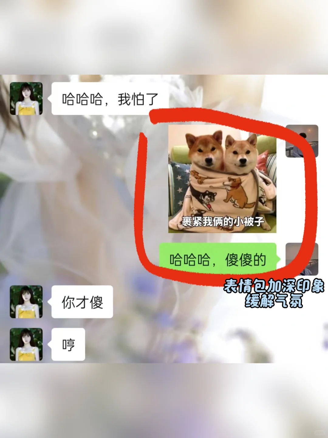 女生主动分享自己的生活，怎么去拉近距离