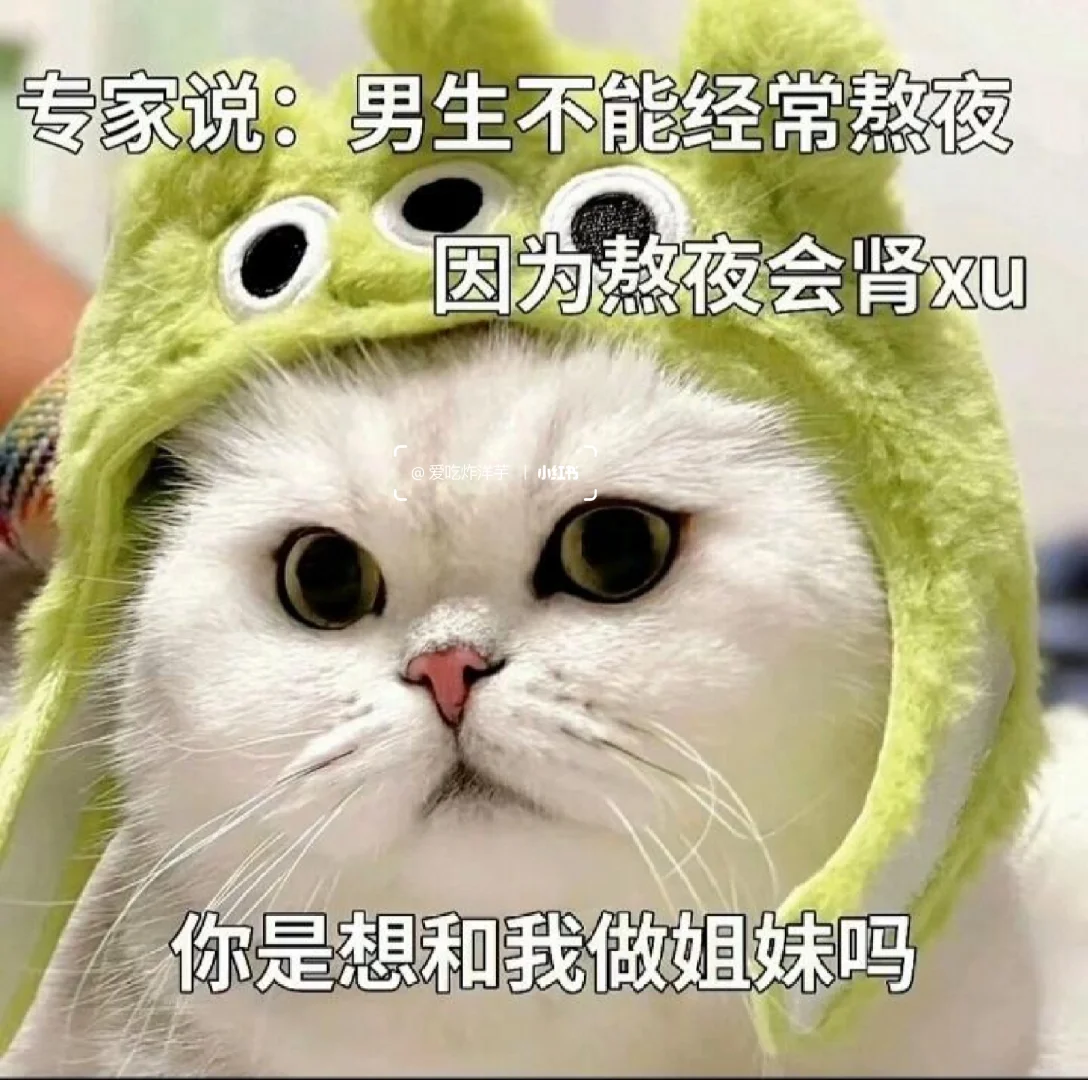 撩男朋友的猫咪表情包