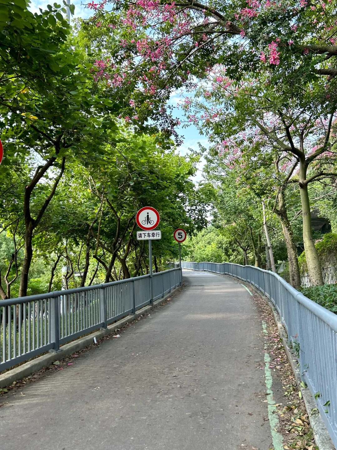 福州日系拍摄地 | 通學路