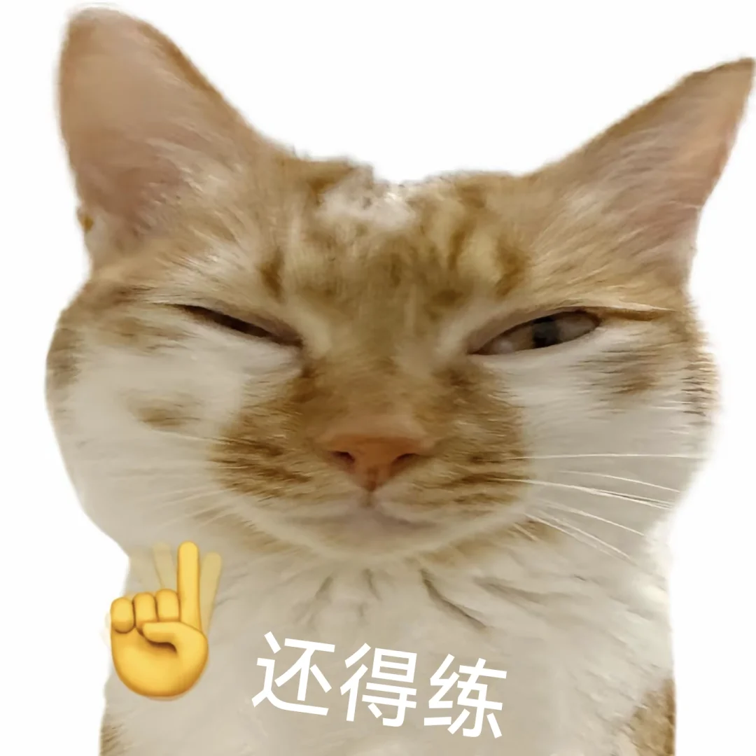 对不良诱惑说快|猫猫表情包