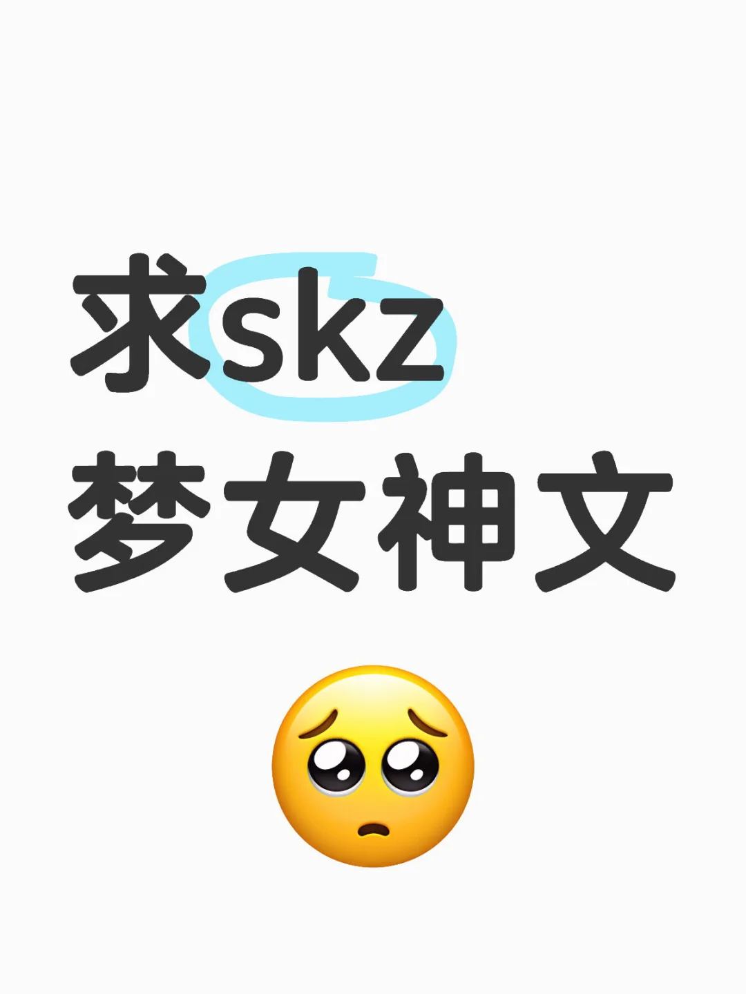 求skz梦女神文。。。