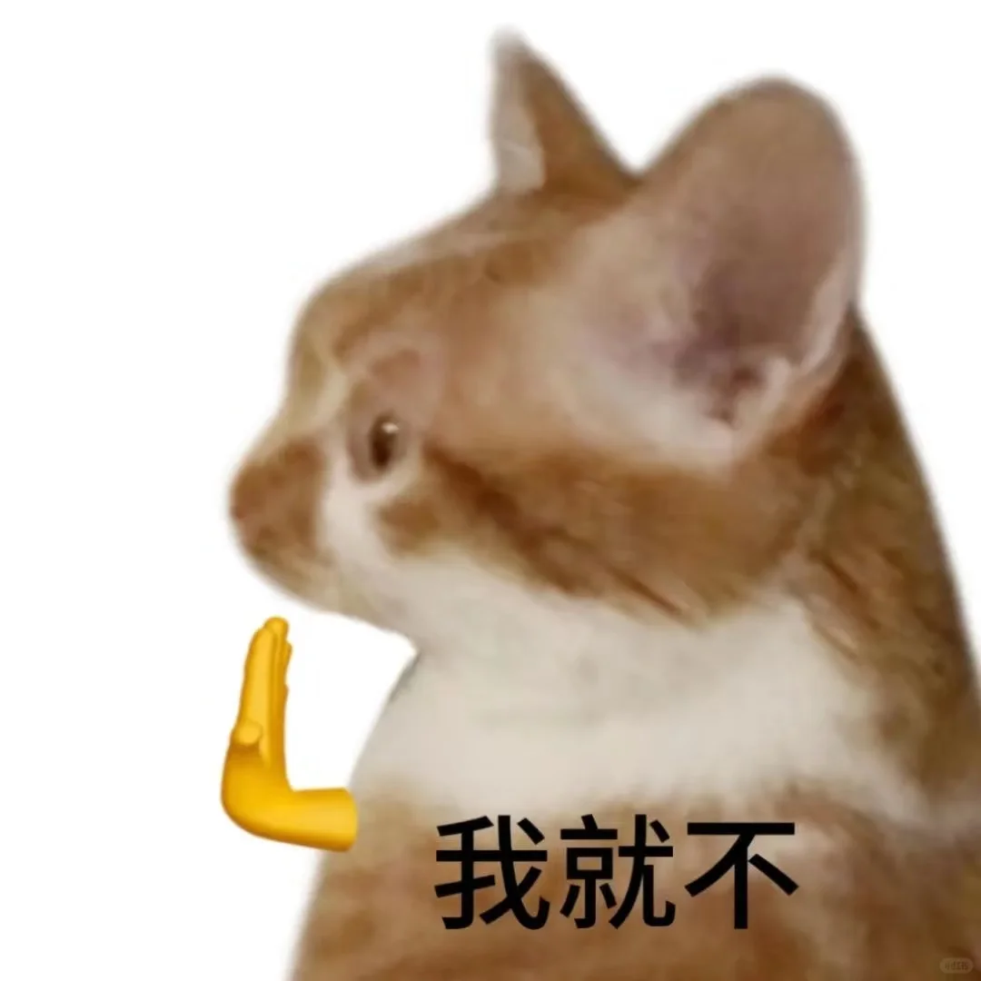 对不良诱惑说快|猫猫表情包