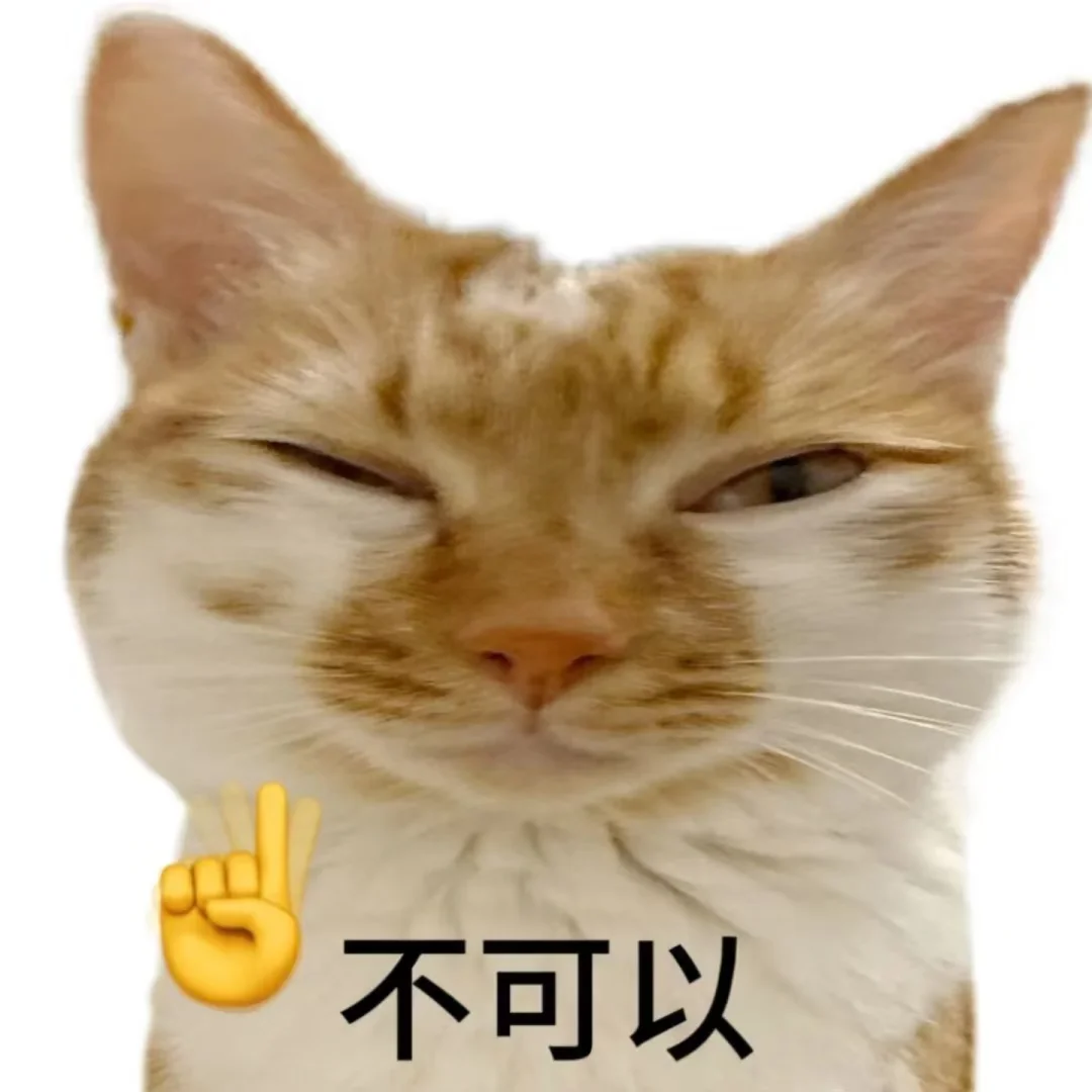 对不良诱惑说快|猫猫表情包