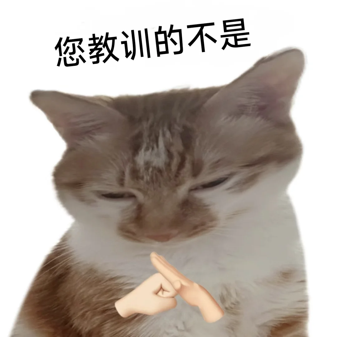 对不良诱惑说快|猫猫表情包