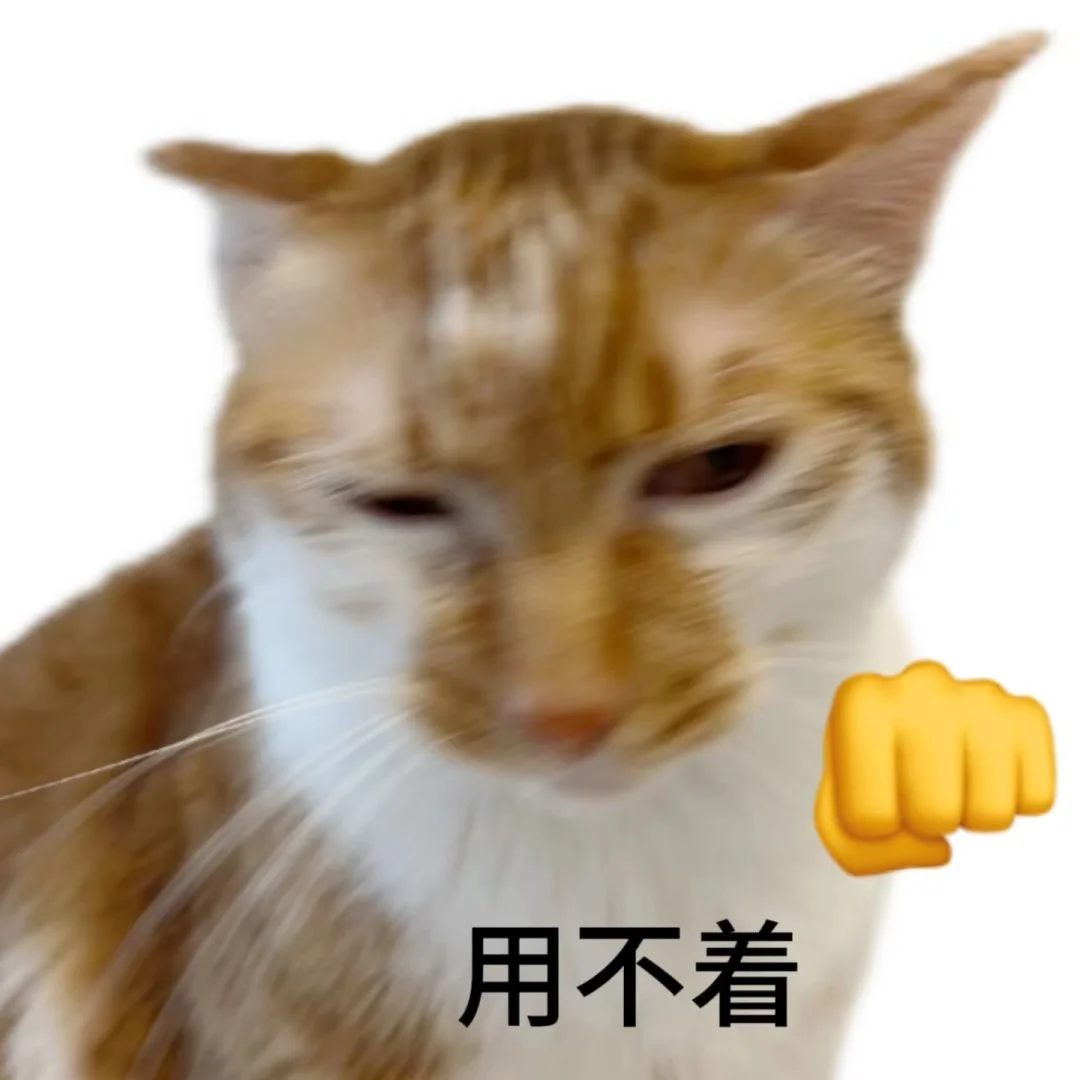 对不良诱惑说快|猫猫表情包