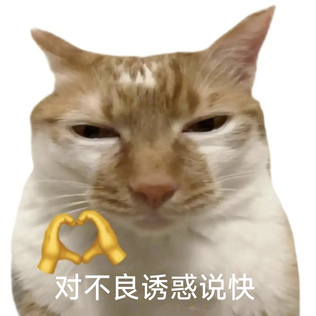 对不良诱惑说快|猫猫表情包