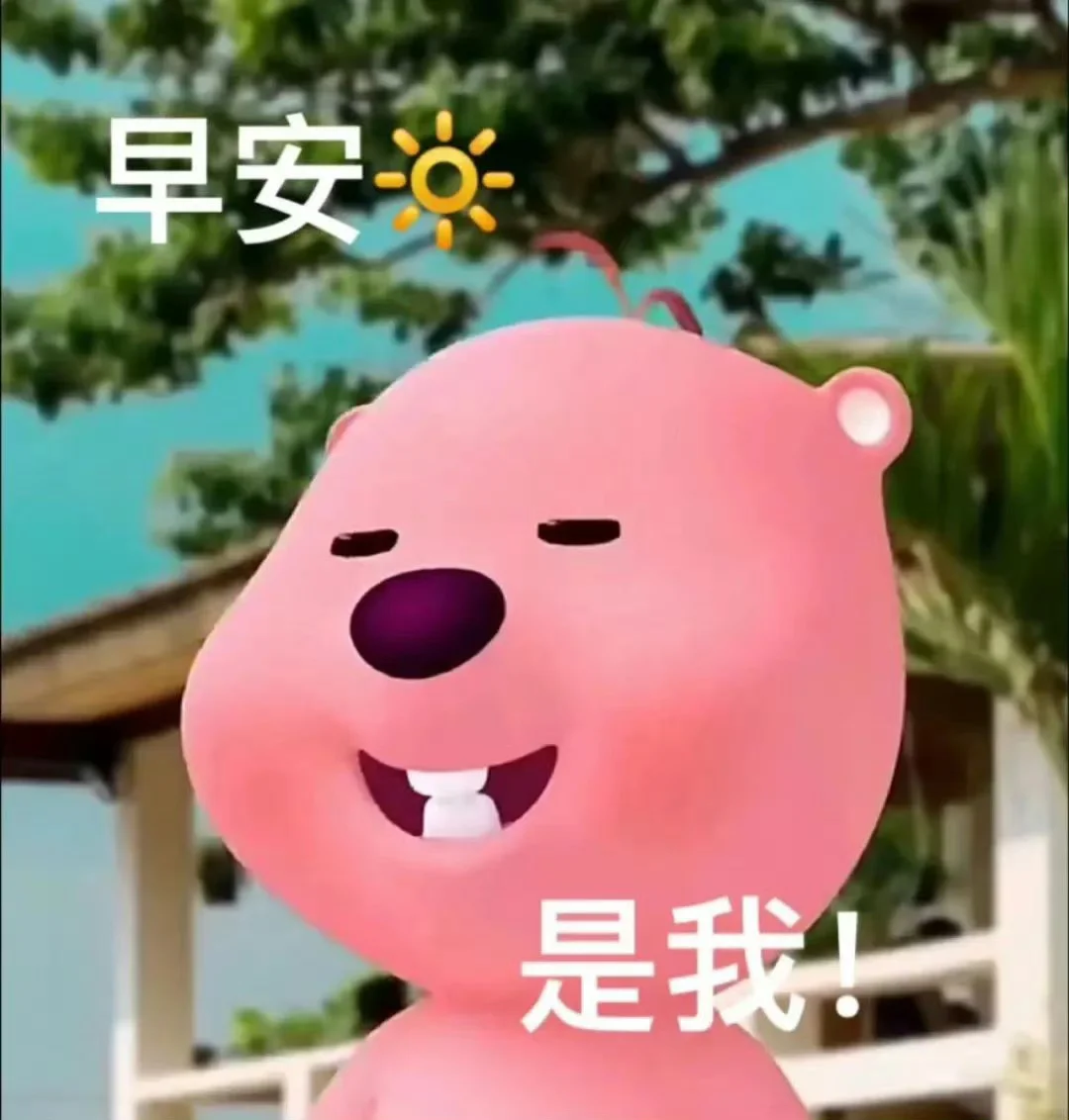 表情包‖我错了嘛～