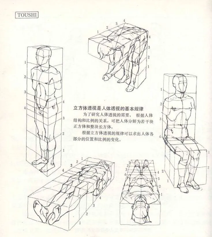 国美动画与游戏考研/张力大透视动态练习