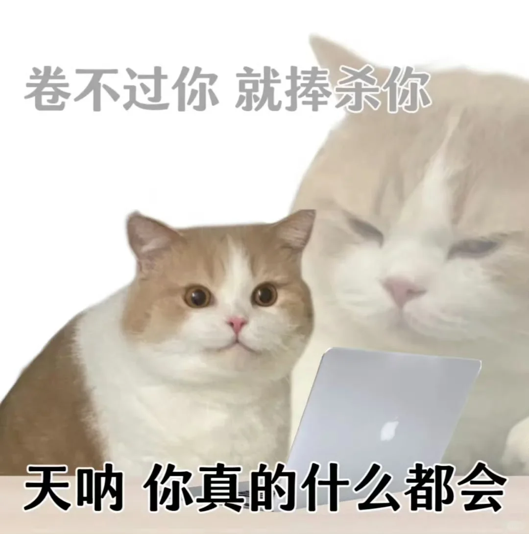 职场反骨猫猫表情包