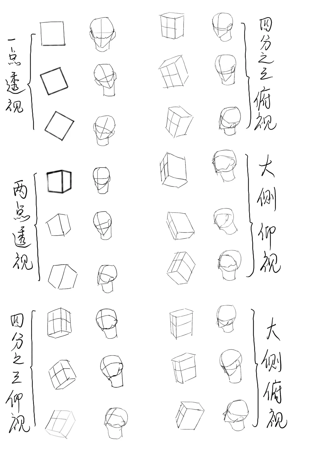 【布布团练day1】头部各角度