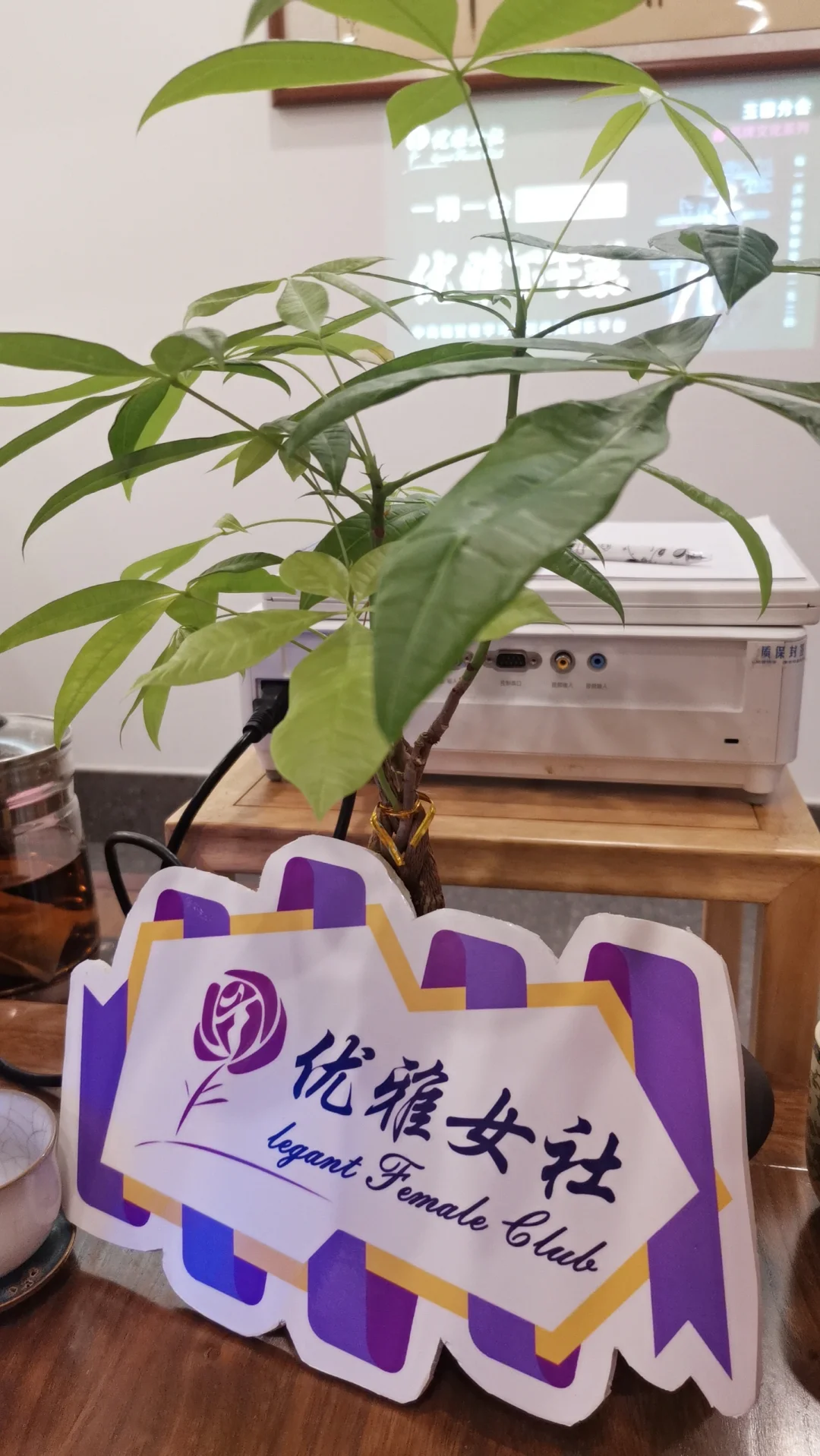 优雅下午茶‖一期一会·雅致共享