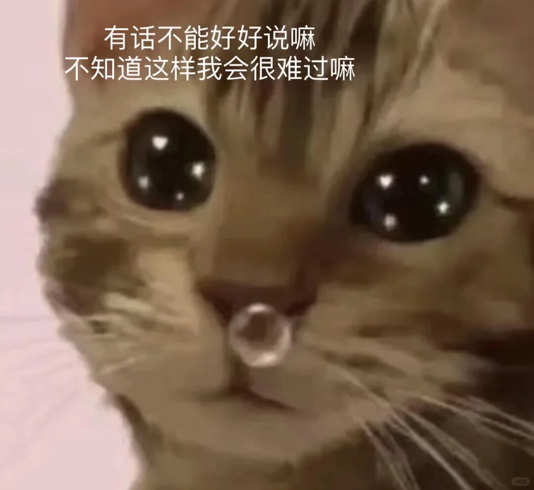 猫咪表情包