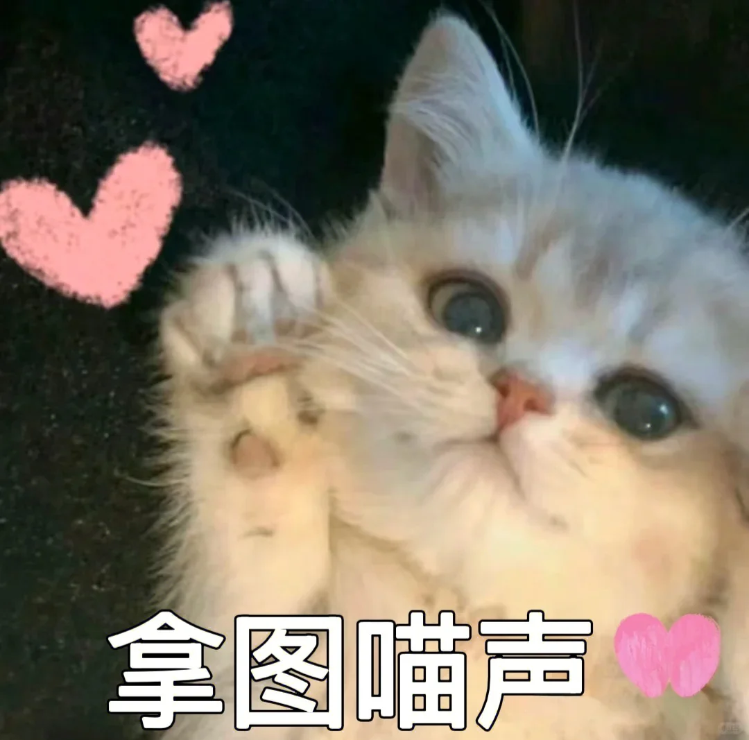 小猫表情包第三弹～～～