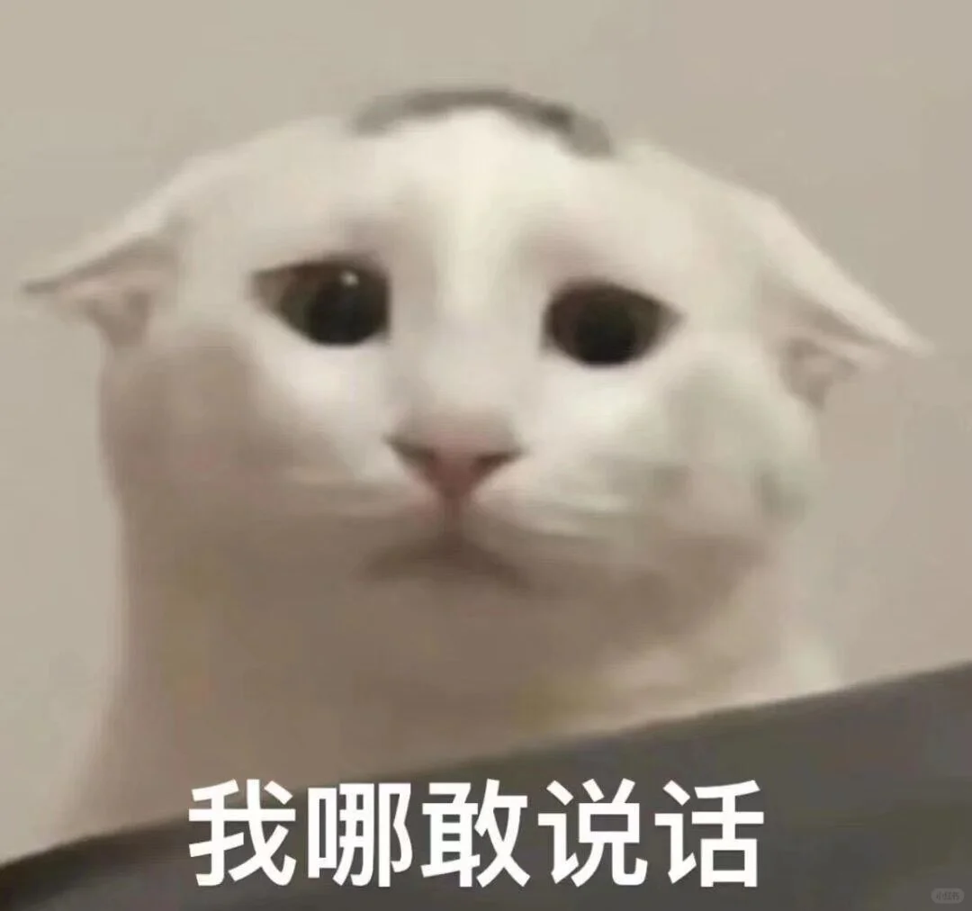 猫咪表情包