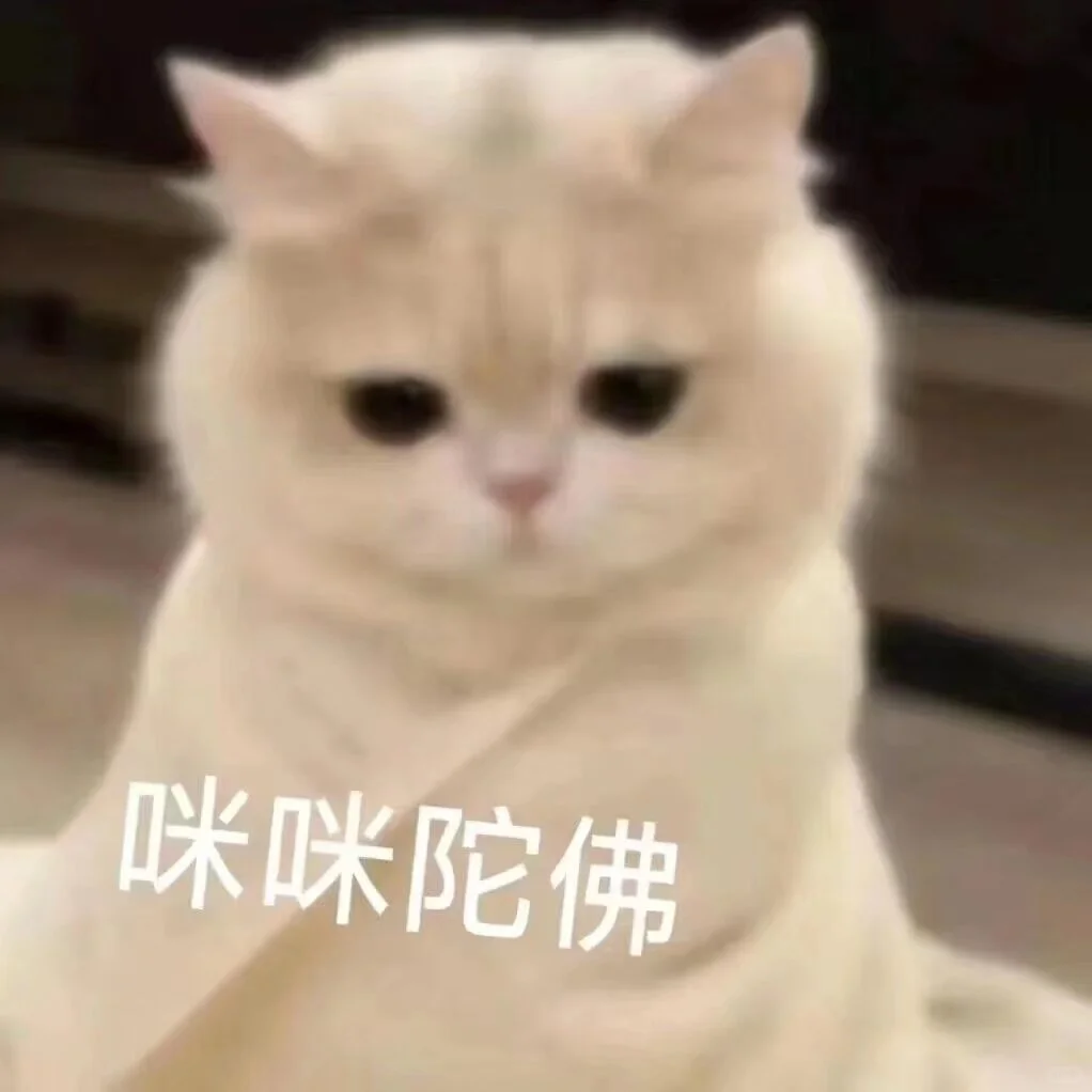 猫咪表情包