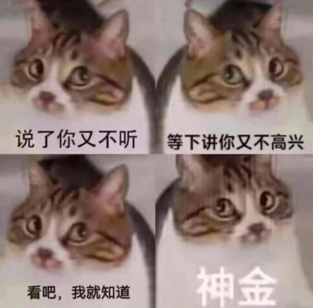 猫咪表情包