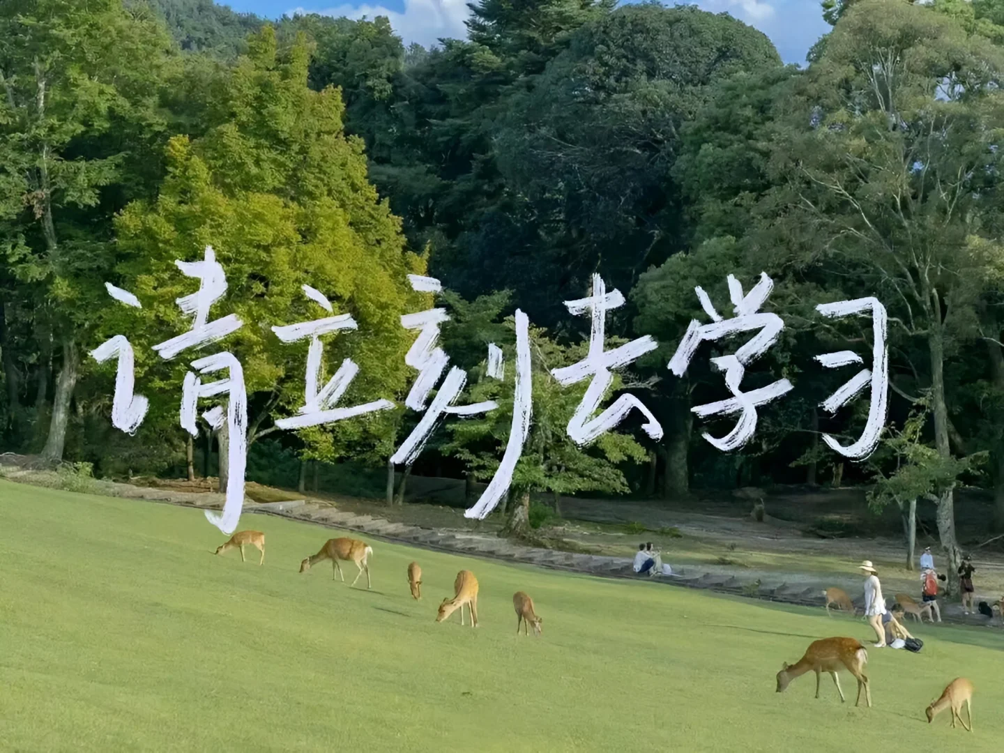 金鳞岂是池中物，一遇风雨化成龙！上岸壁纸