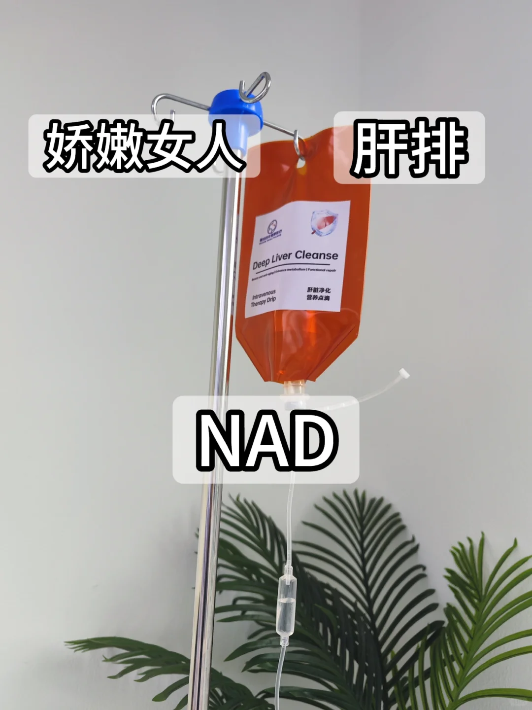 NAD/肝排/娇嫩女人 极限三选一！