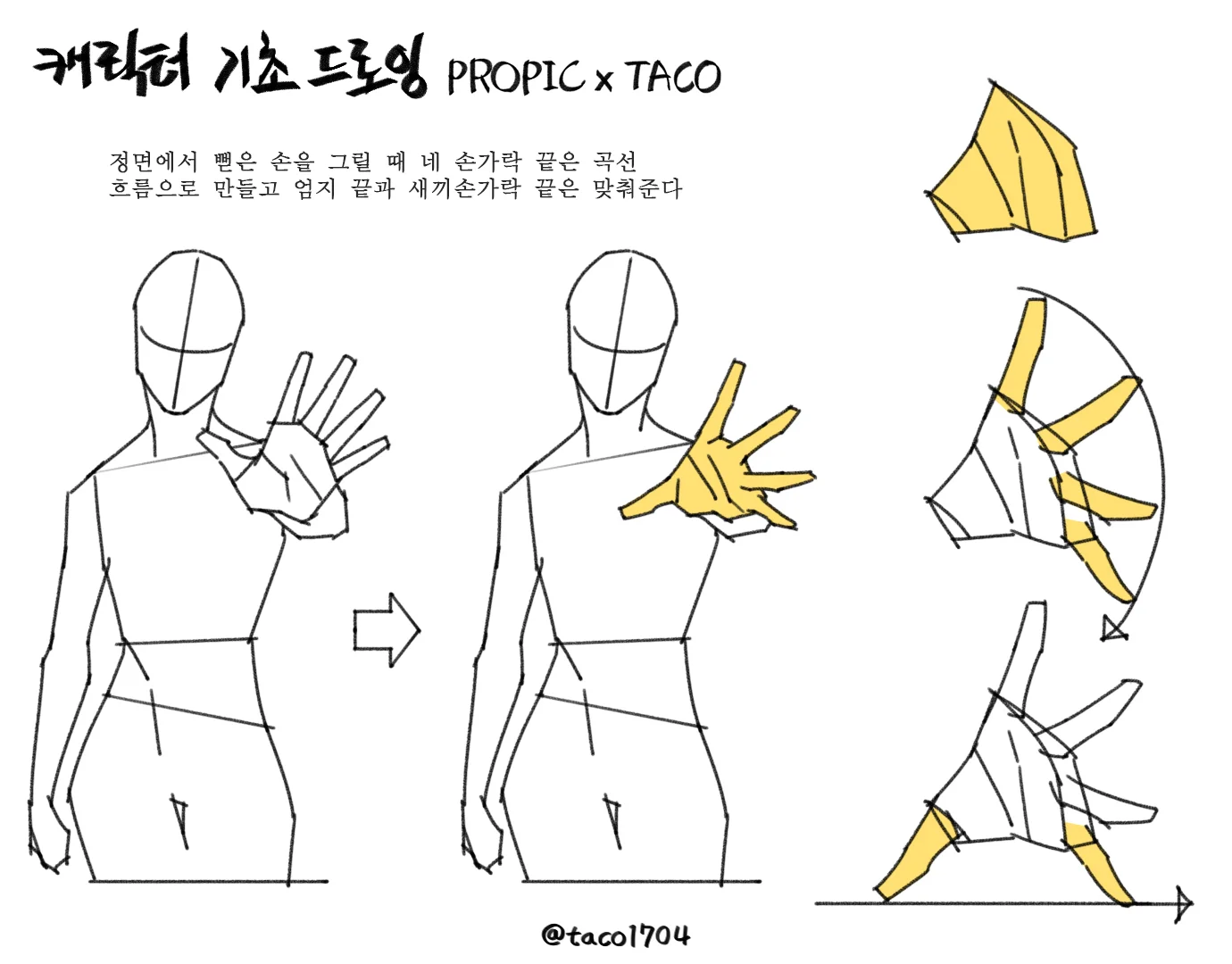 【参考素材】taco人体结构手部