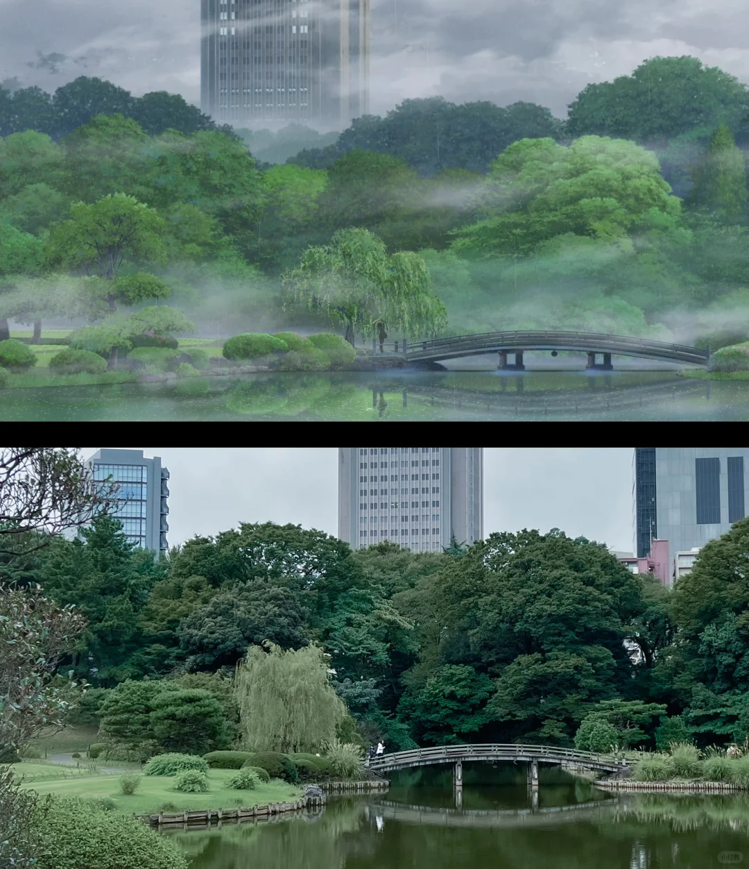 阴雨天的新宿御苑(游览顺序版）