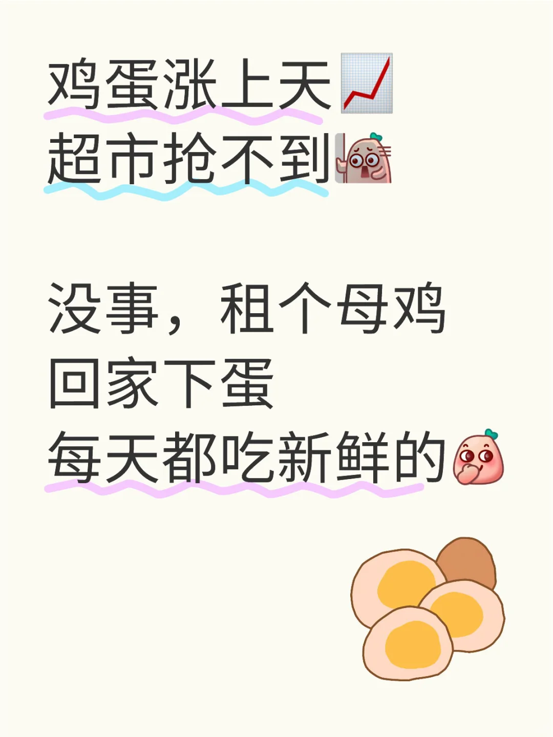 鸡蛋价格史高📈租母鸡回家下蛋成新潮？