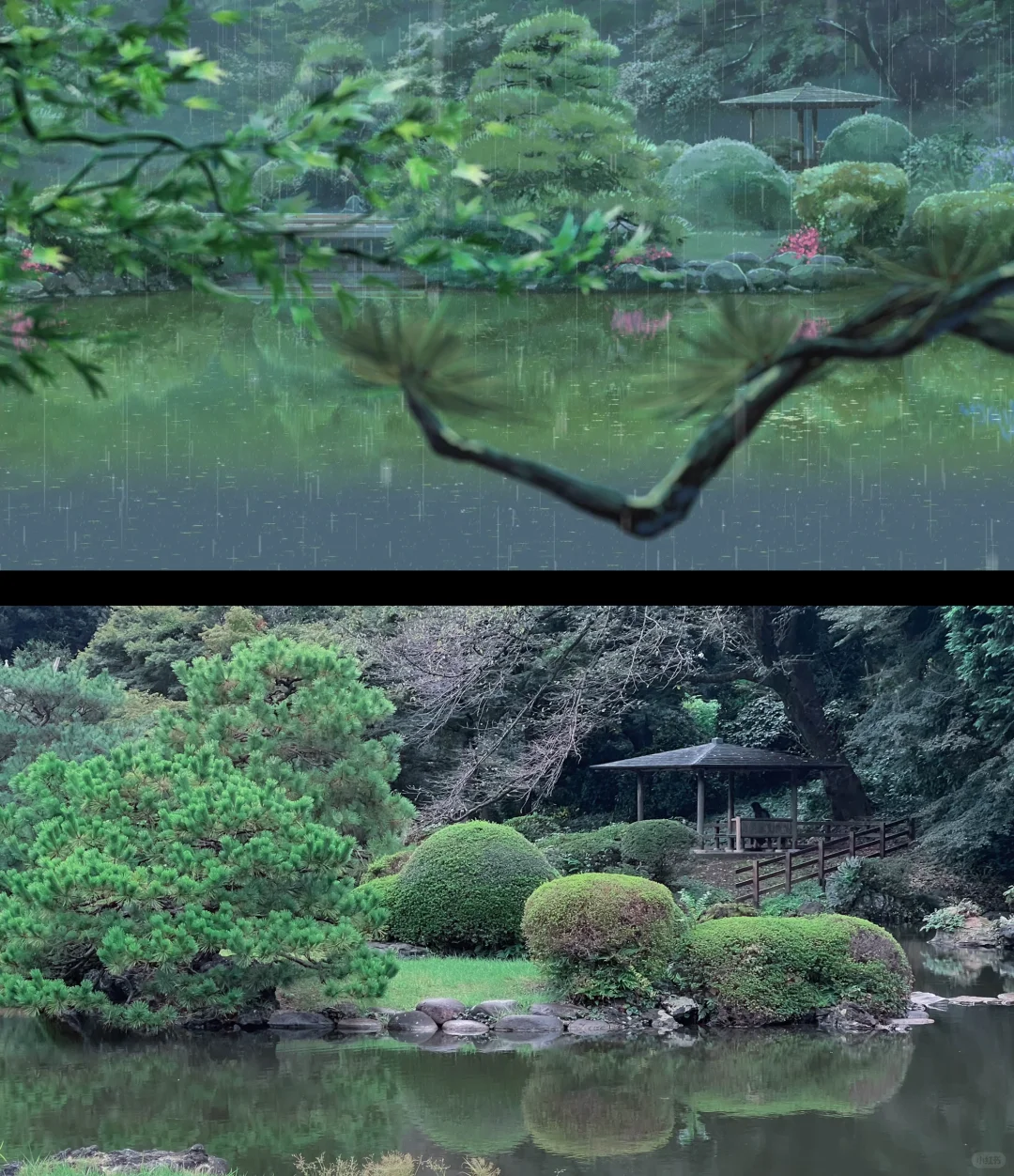 阴雨天的新宿御苑(游览顺序版）