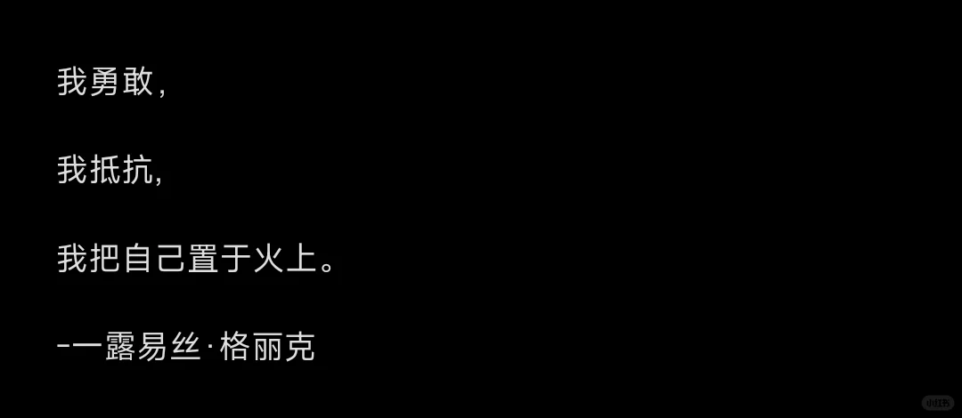 我勇敢，我抵抗,我把自己置于火上。