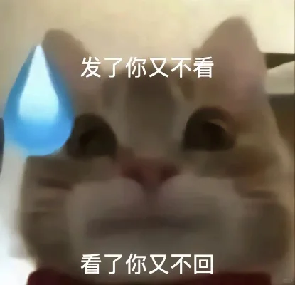 快进来接受可爱歪嘴小猫的追求