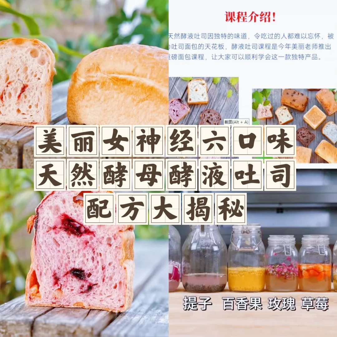 美丽女神经六口味天然酵母酵液吐司课程揭秘