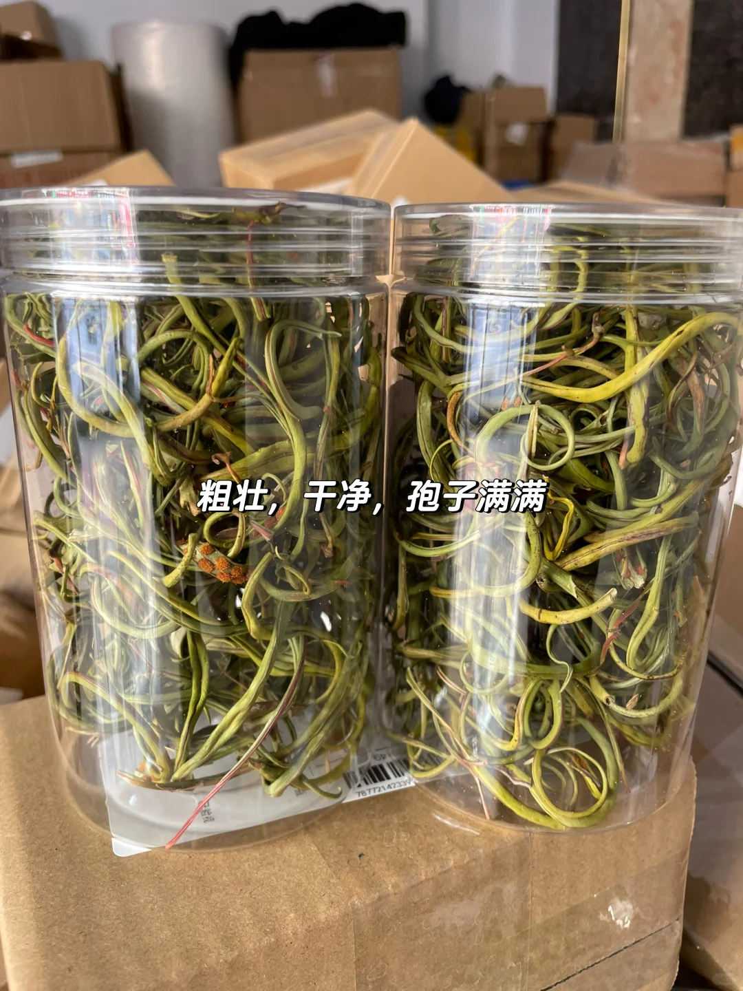 火出圈的天然小草，肾精茶，买给你的男盆友